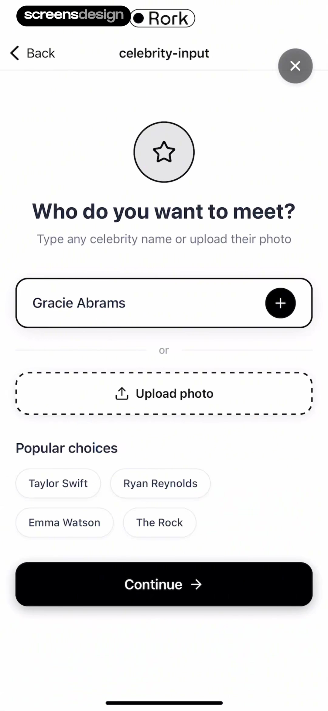 Rork preference form combining a text field, photo upload, suggested choices, and a Continue action