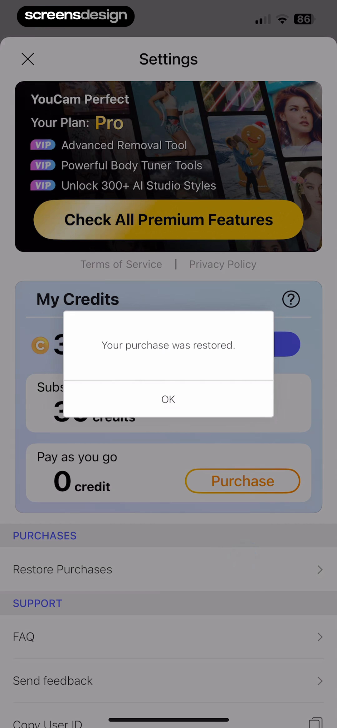 YouCam Perfect:AI Photo Editor screen showing the recovered Pro plan is confirmed alongside the premium capabilities that should now be available.