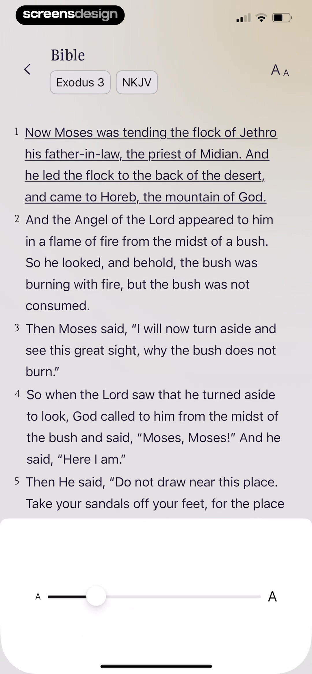 Bible Chat Exodus chapter in a serif reading layout with a text-size slider open at the bottom