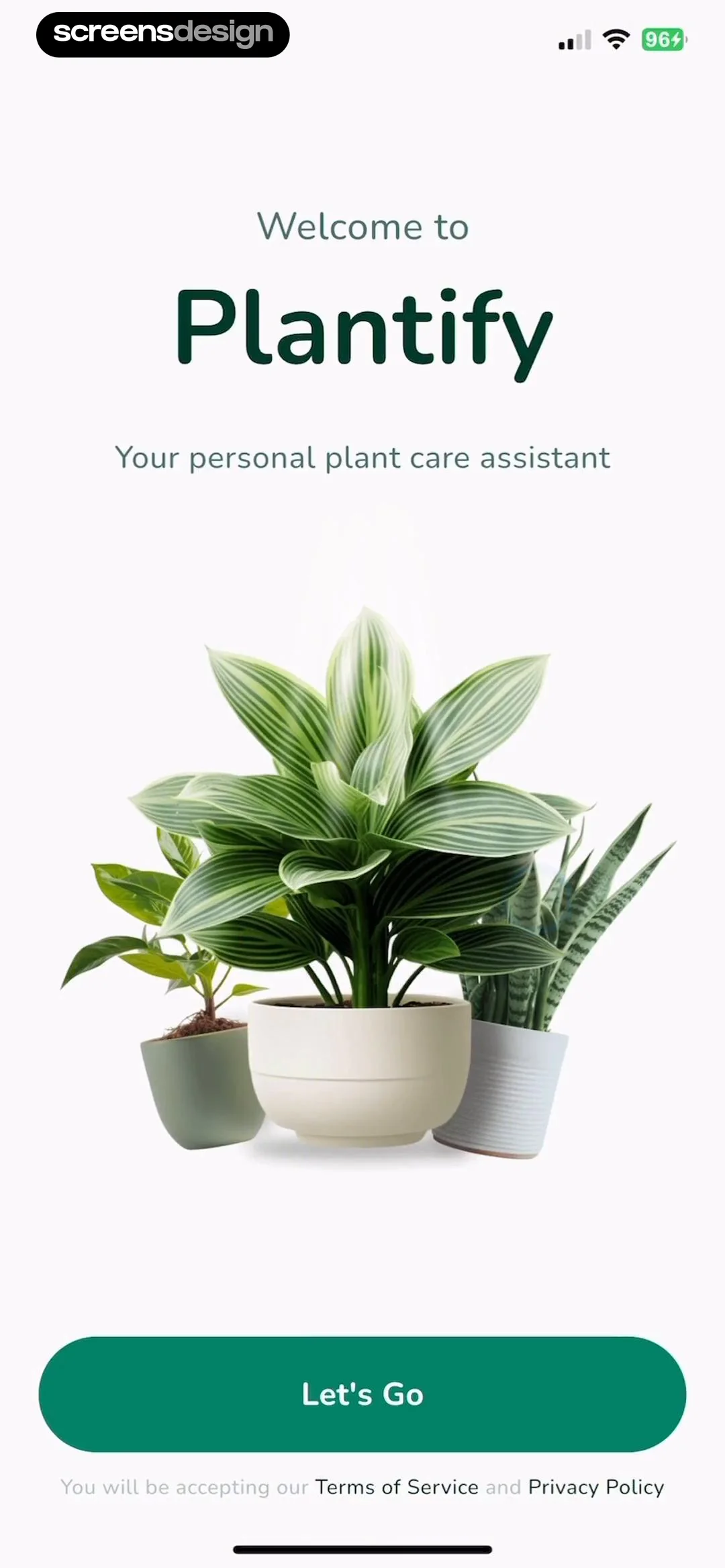 Plantify: AI Plant Identifier screen 2