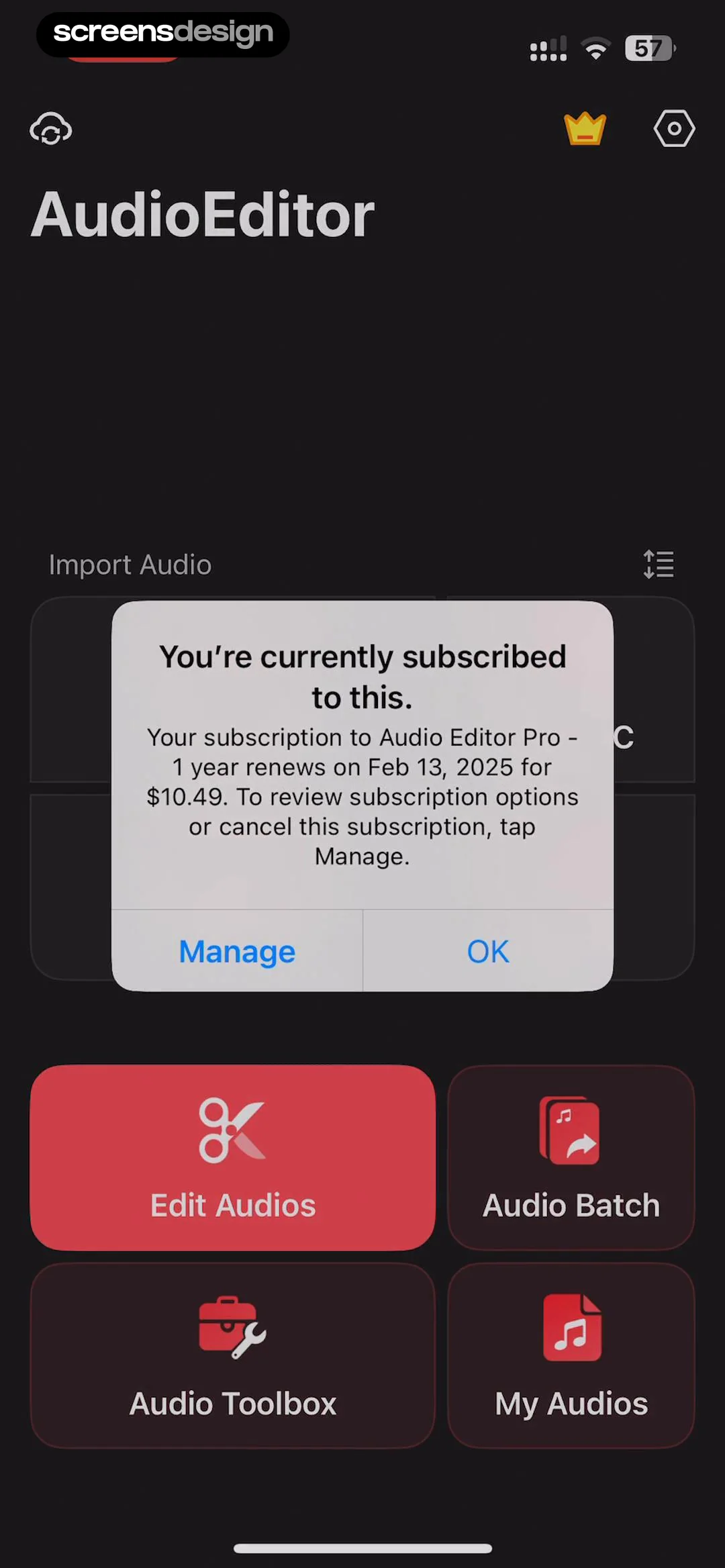 Audio Editor - Music editor screen 6