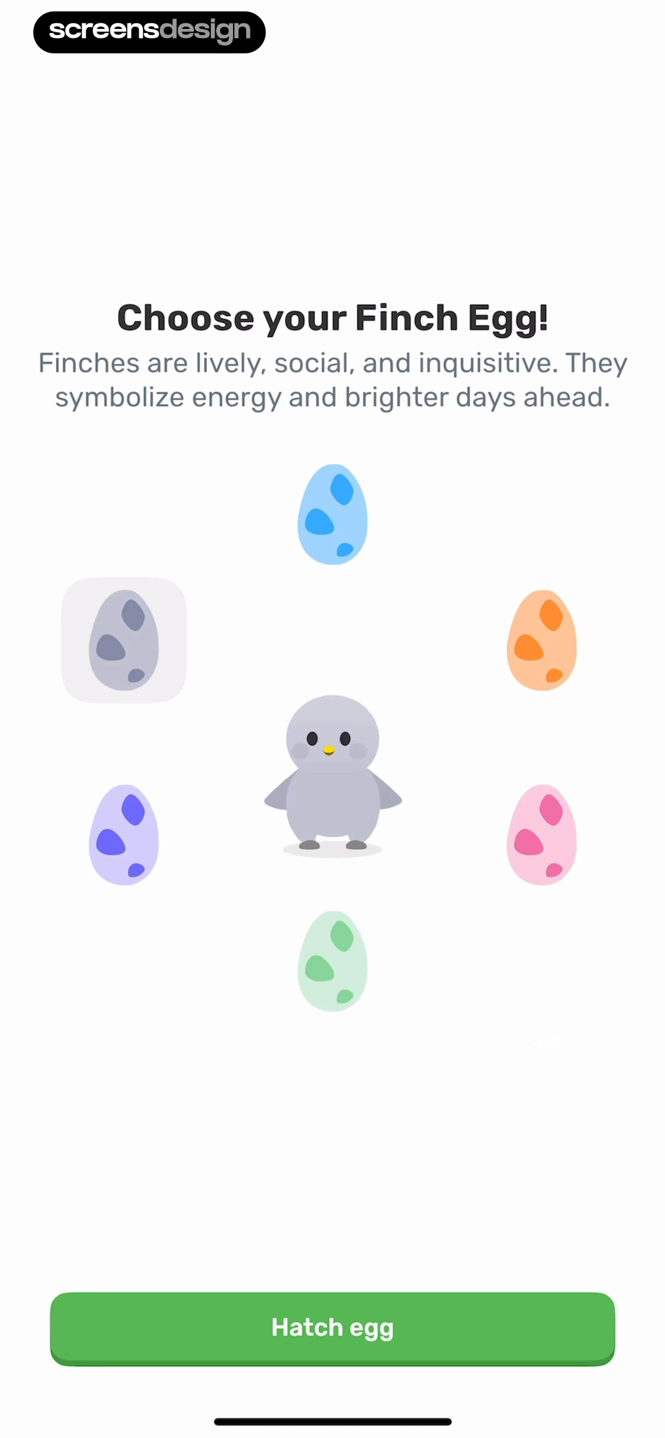 Finch — 寵物孵化與命名