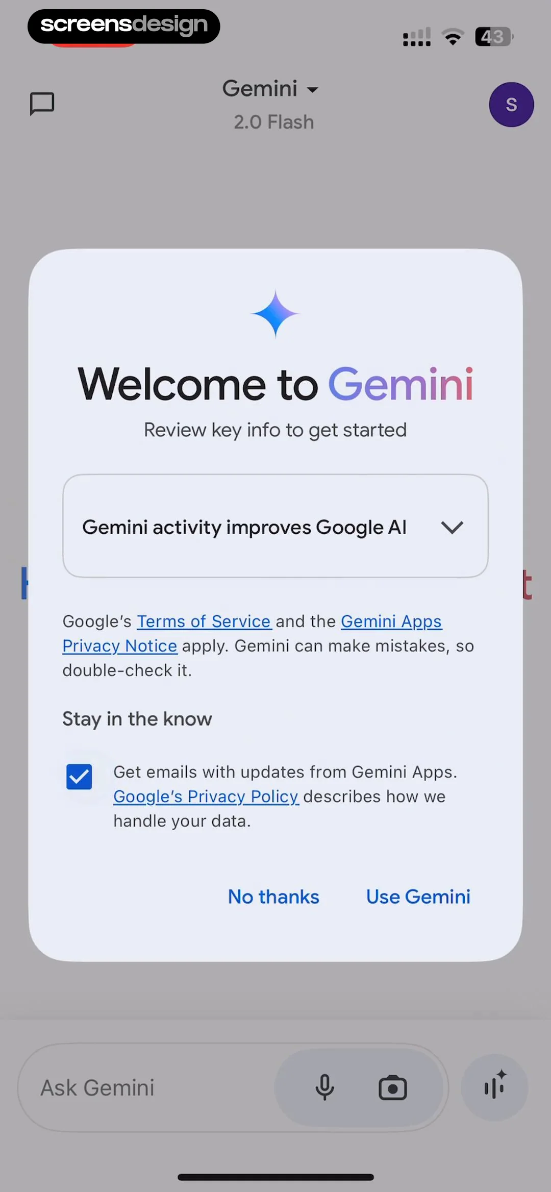 Google Gemini screen 5