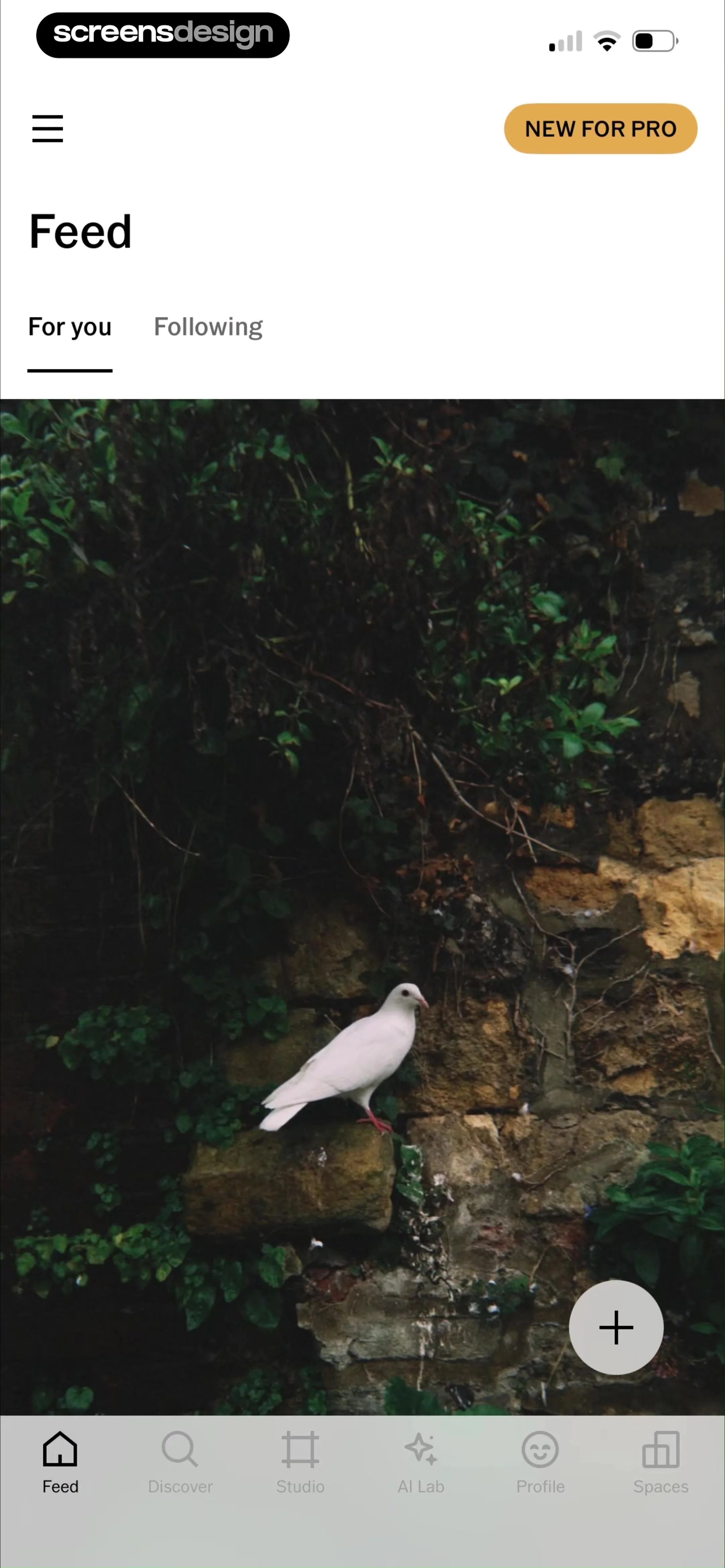 VSCO: Photo & Video Editor screen 85