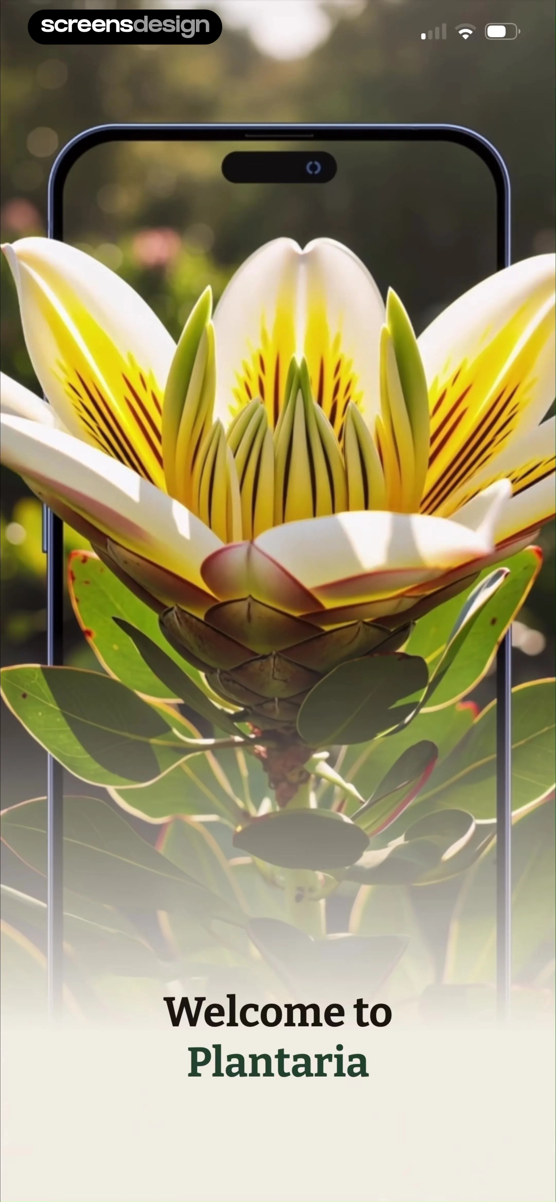 Plant Identification－Plantaria screen 3
