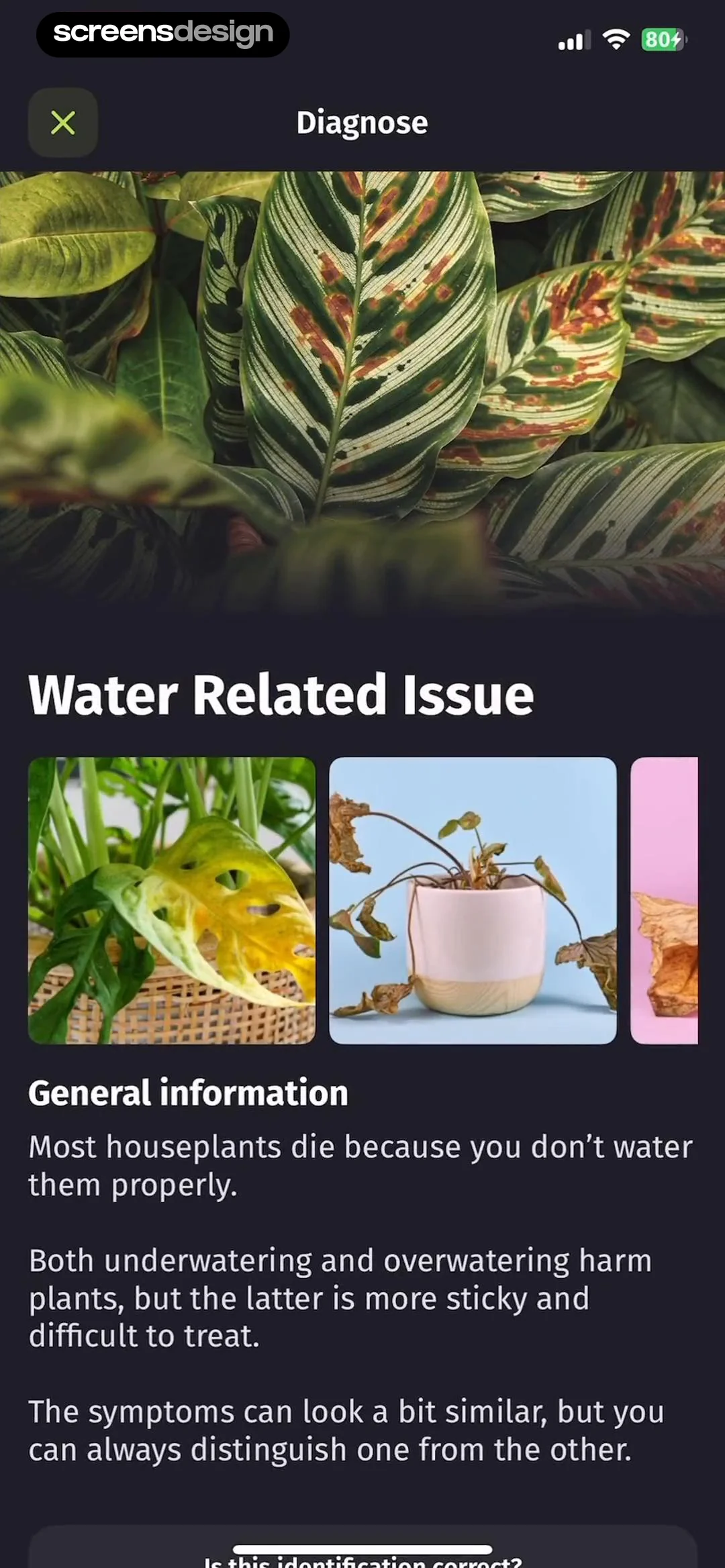 Plantion - Plant Identifier UI Breakdown | ScreensDesign Showcase