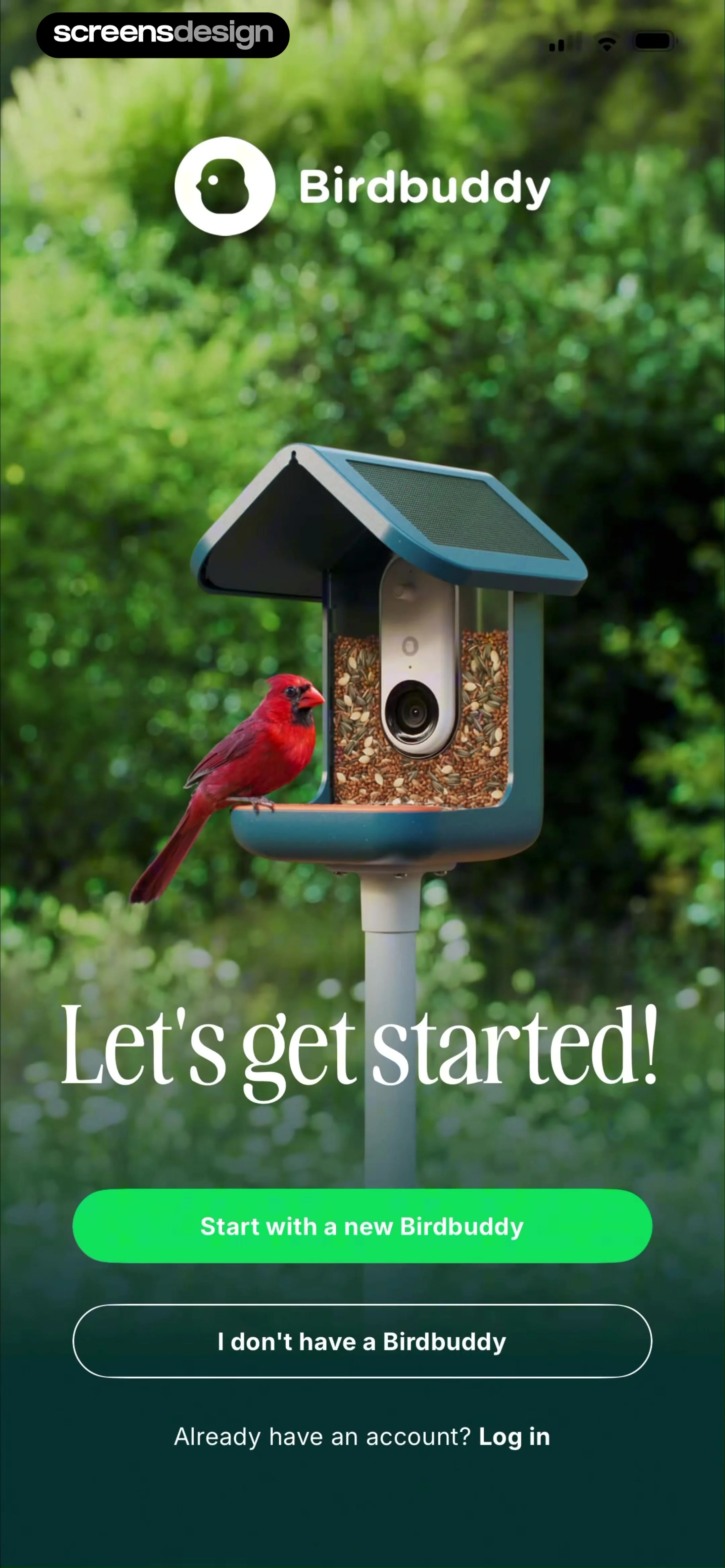Birdbuddy: ID & Collect Birds screen 3