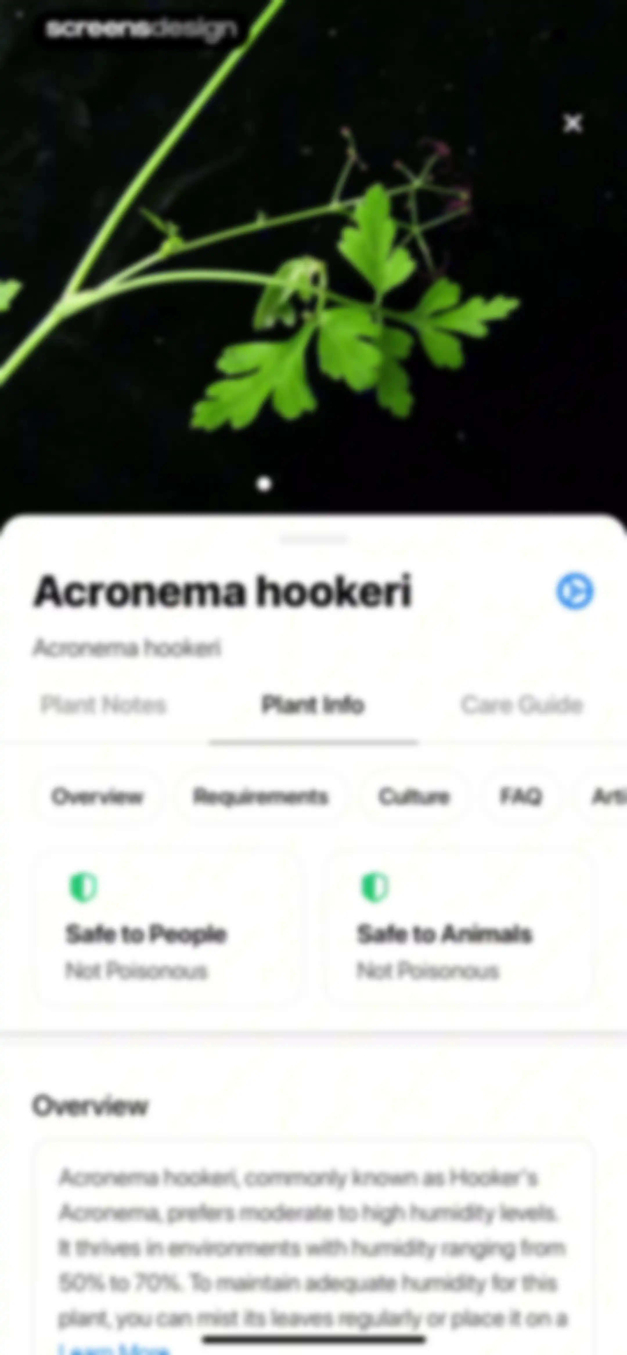 Plant App: Plant Identifier screen 105