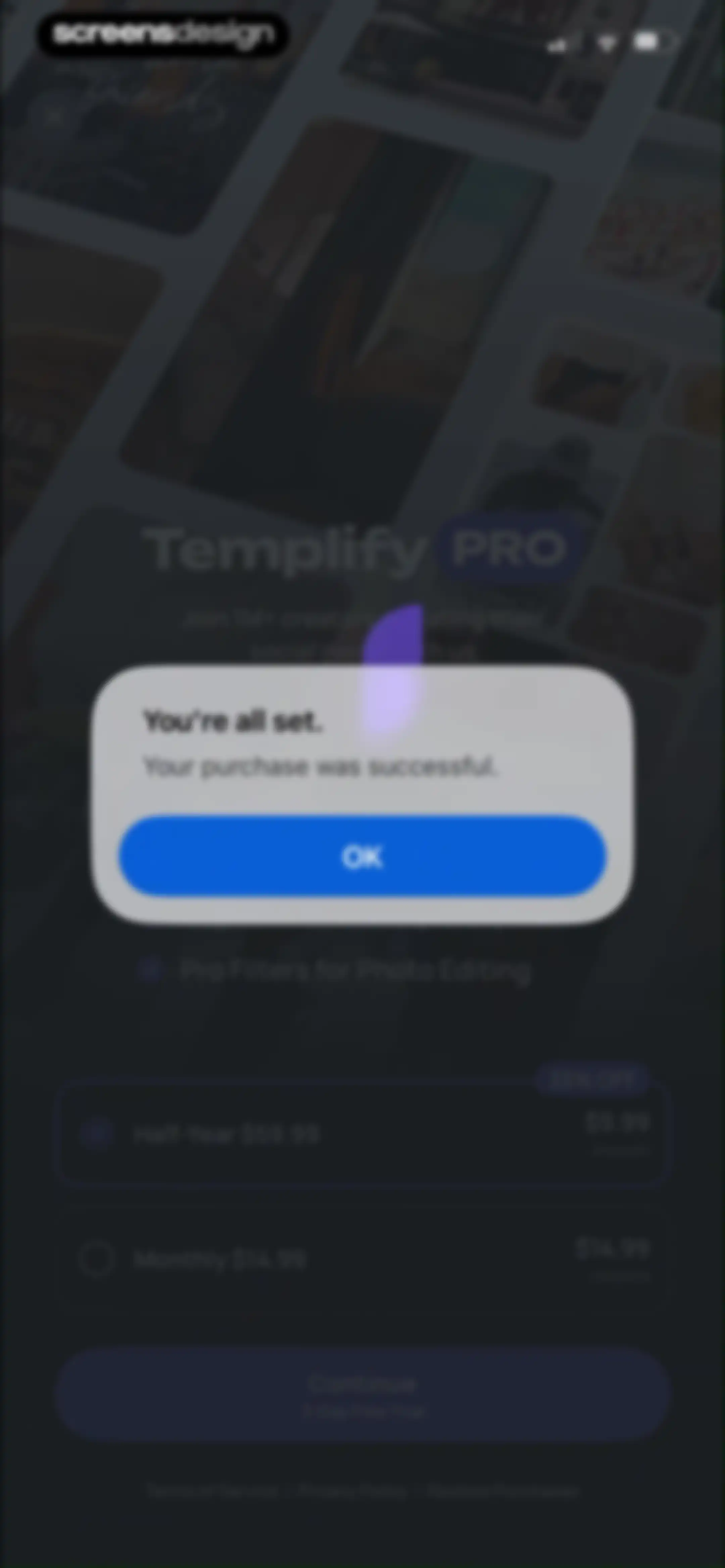 Templify・Video & Reel Maker screen 19