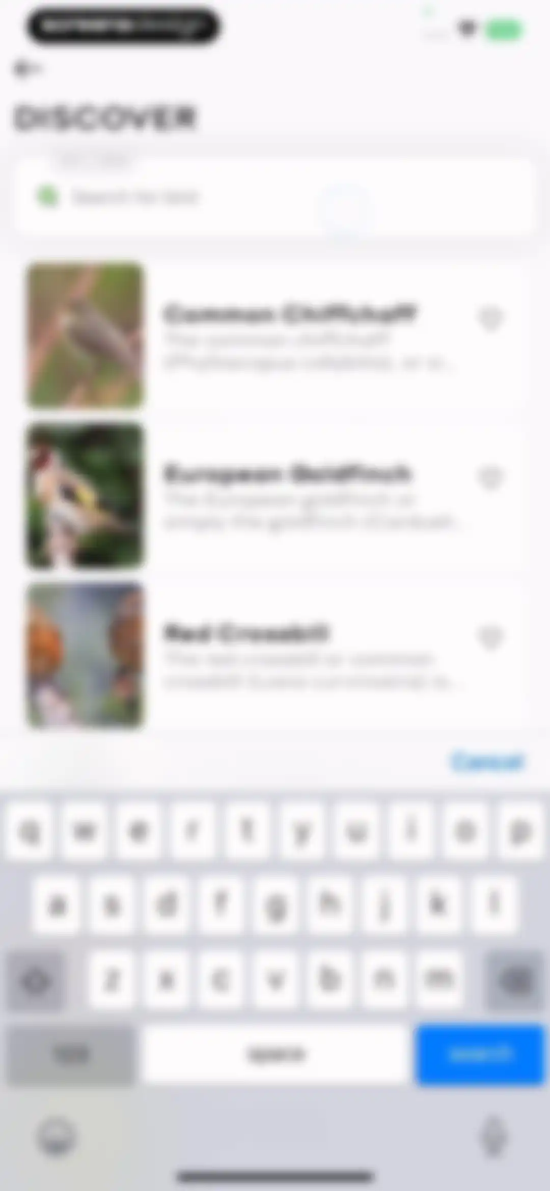 Bird Sounds Identifier Call ID screen 35