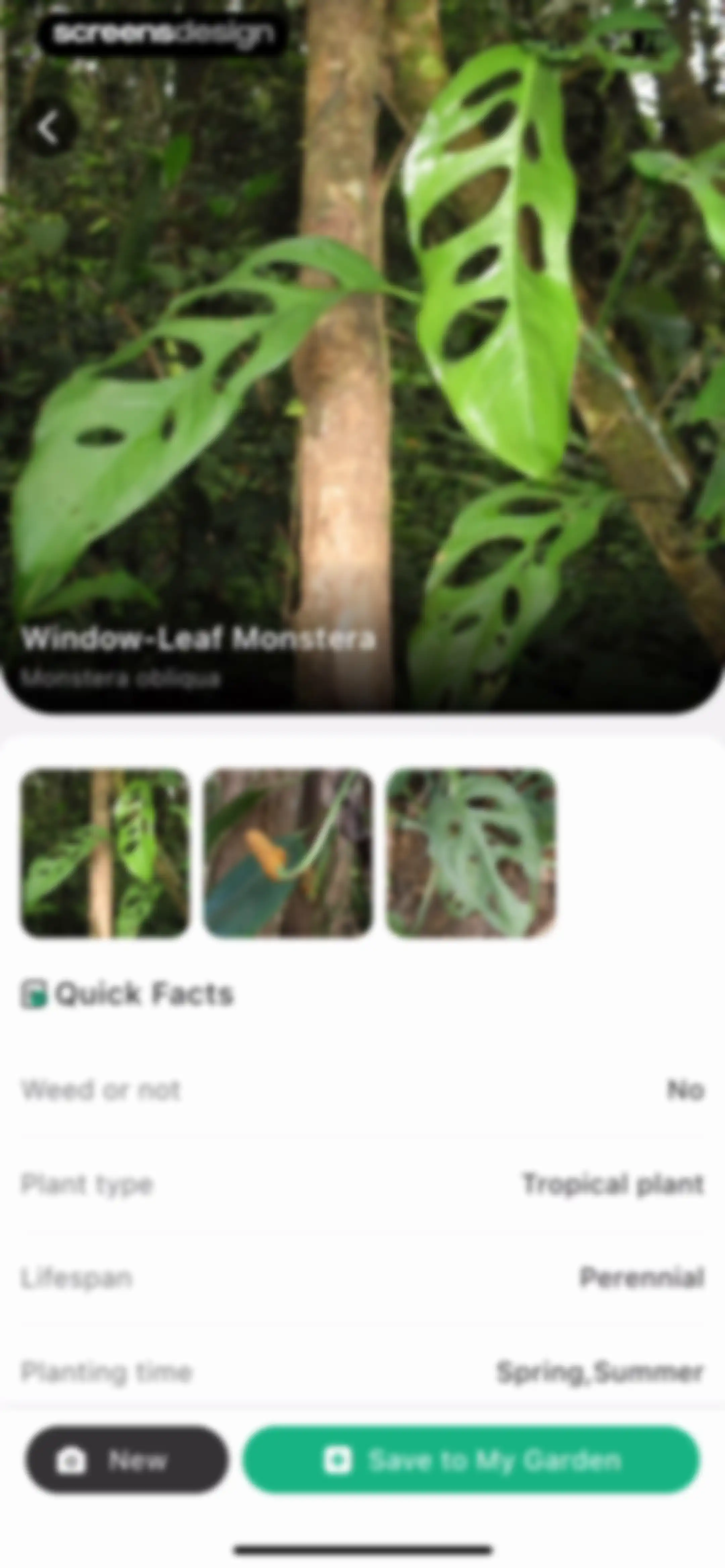 Plant Identifier: ChatPlant AI screen 38