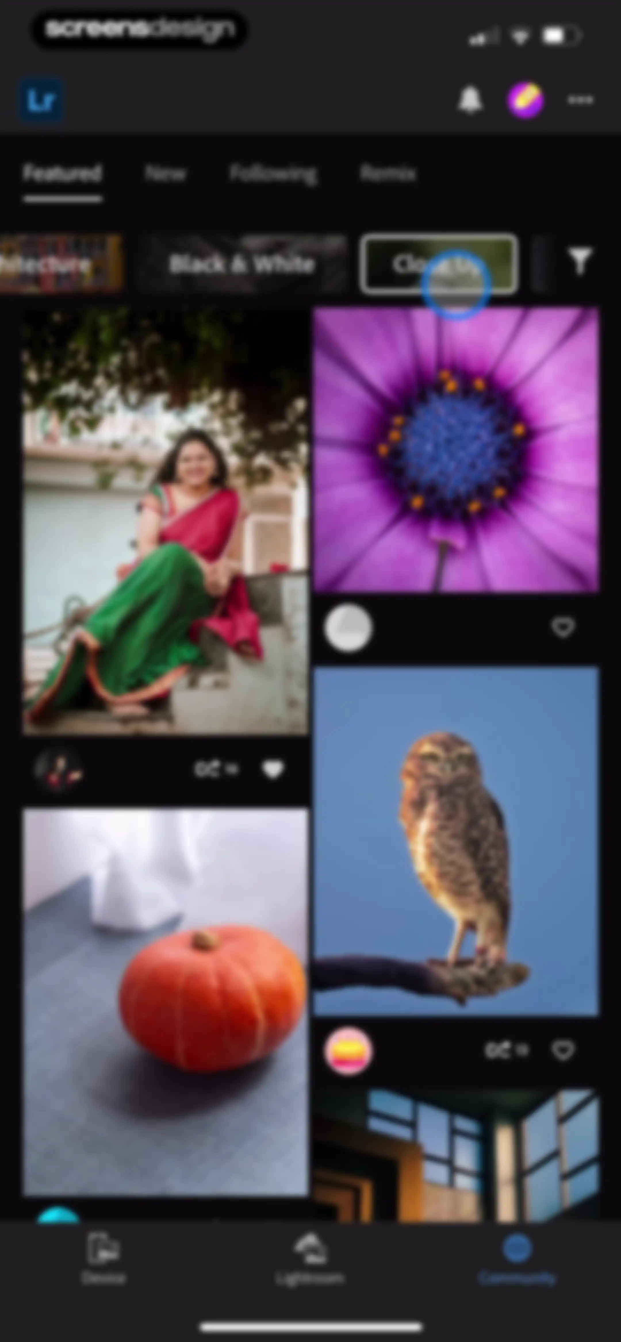 Lightroom: AI Photo Editor screen 173