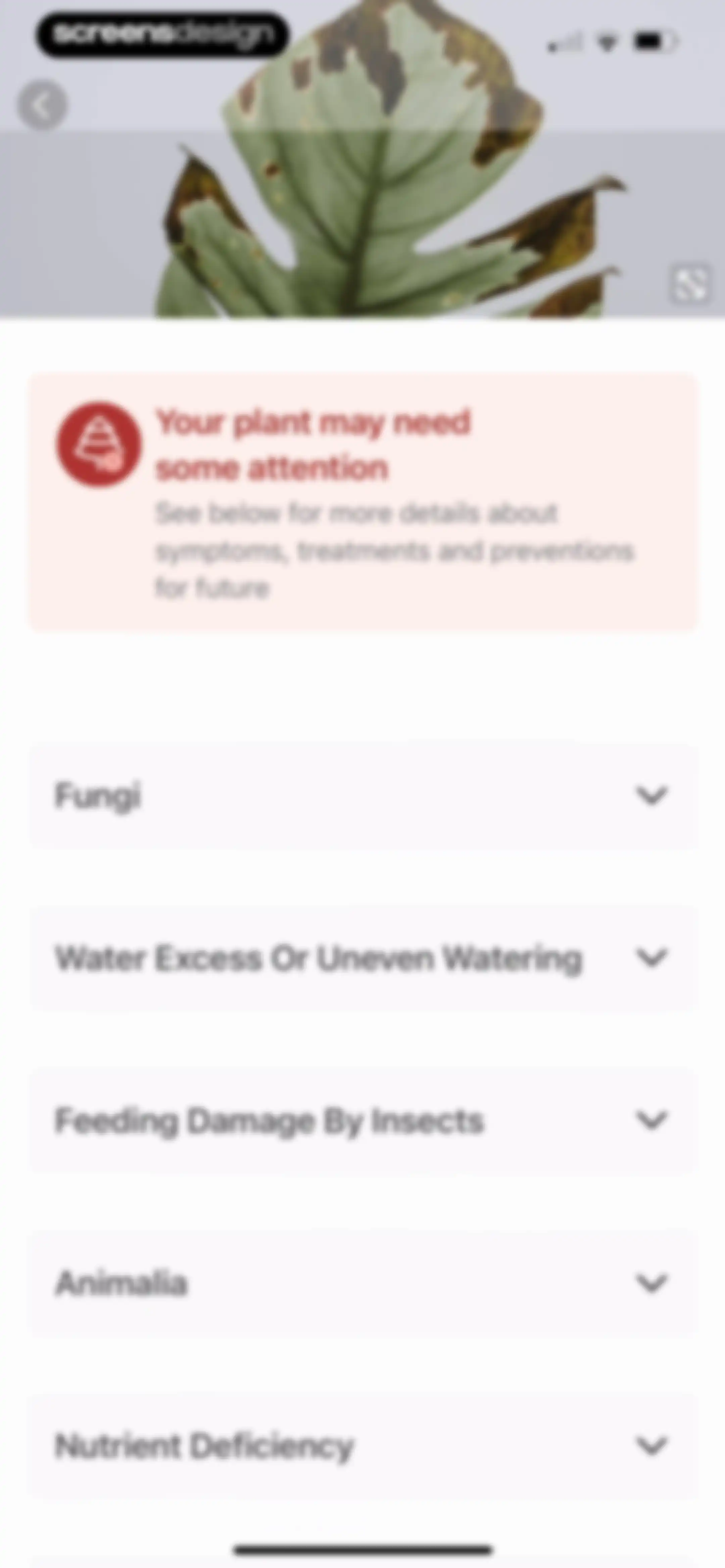 Identify My Plant Now screen 55
