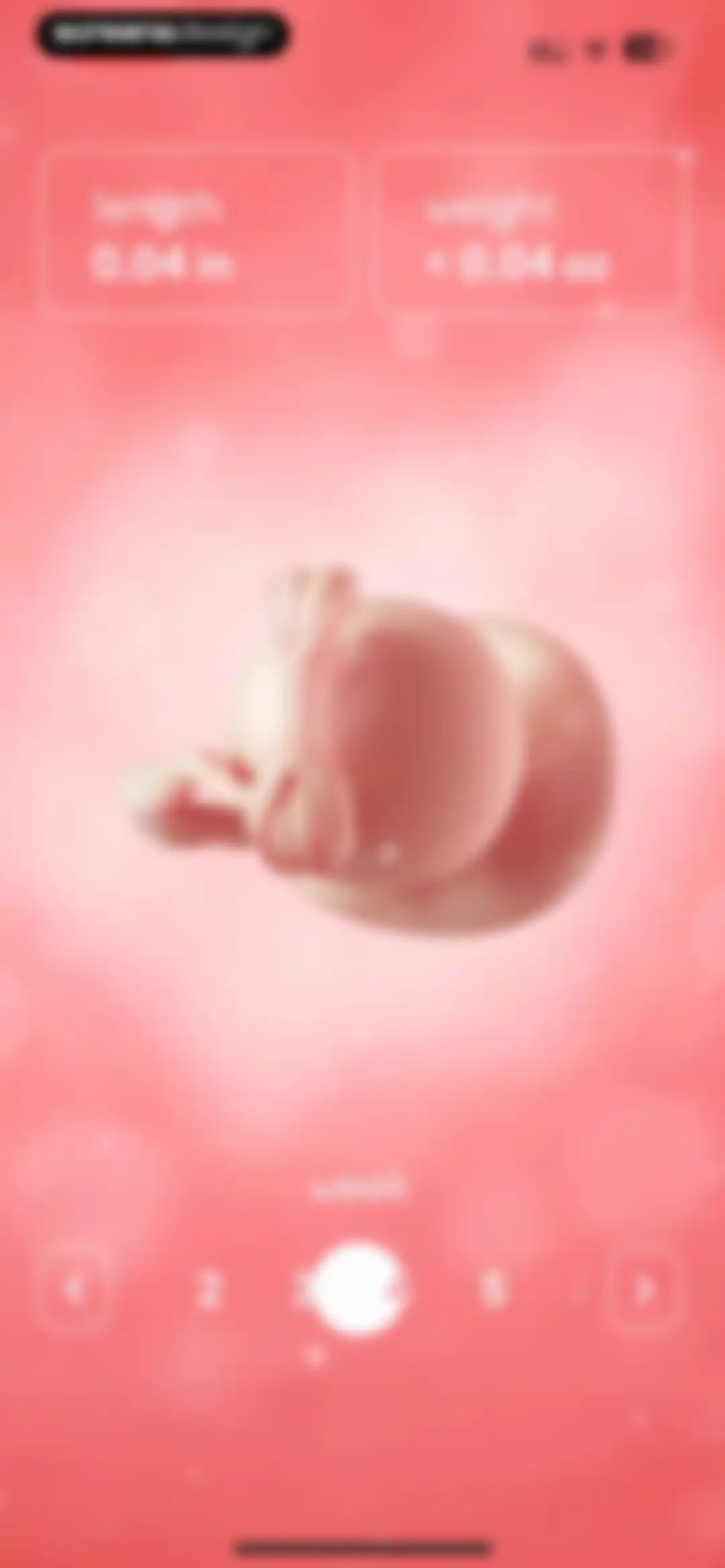 amma: Pregnancy & Baby Tracker screen 3