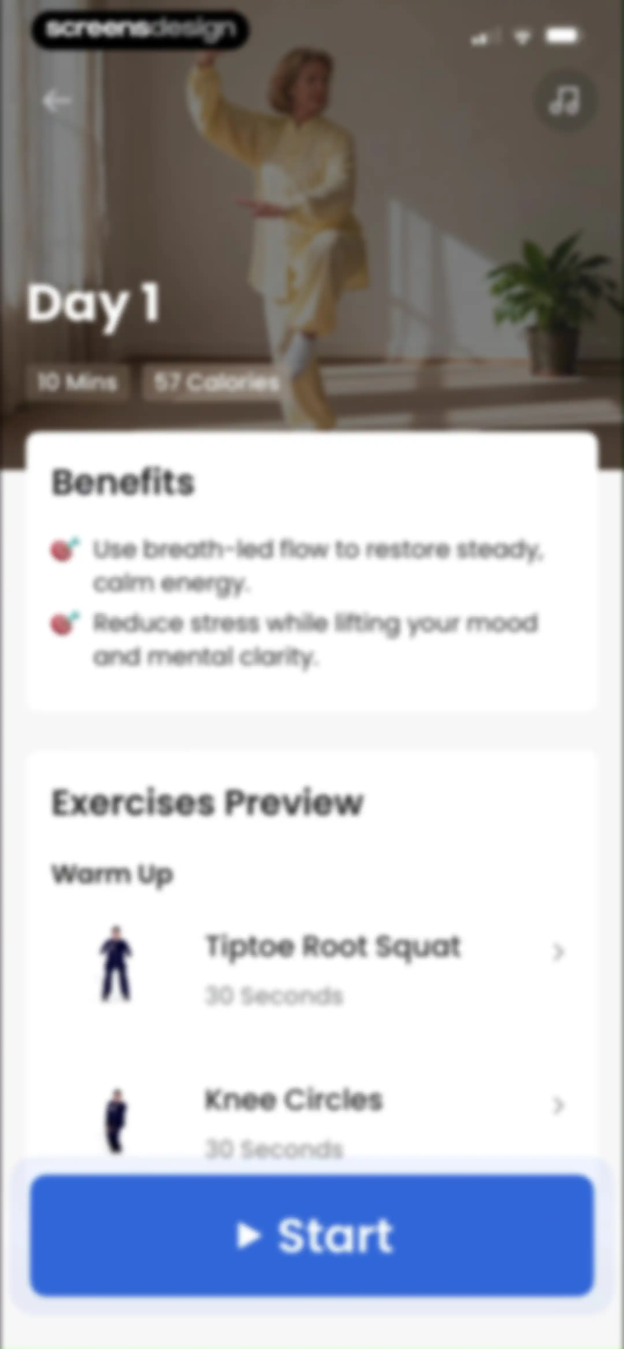 Tai Chi for Beginners Seniors screen 72