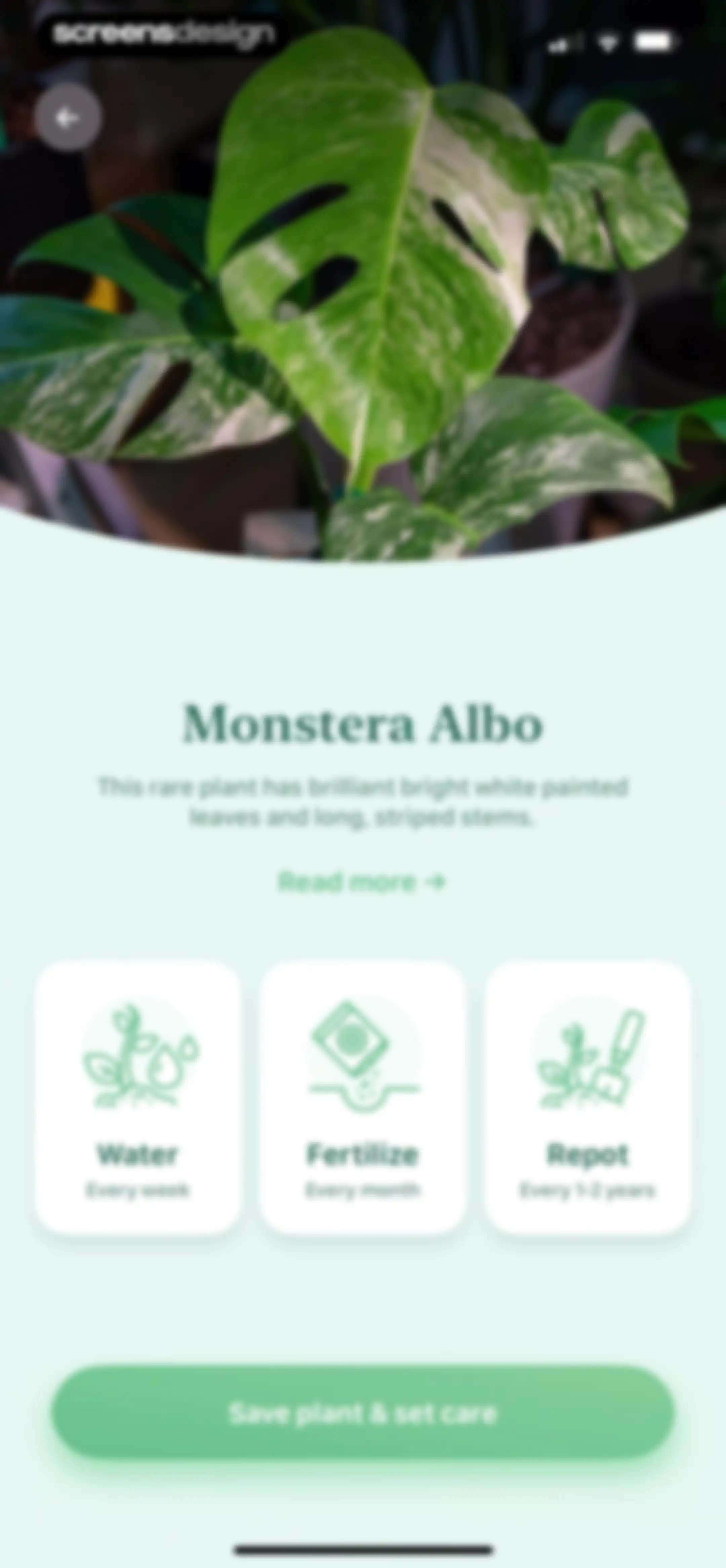 Blossom - Plant Care Guide screen 14
