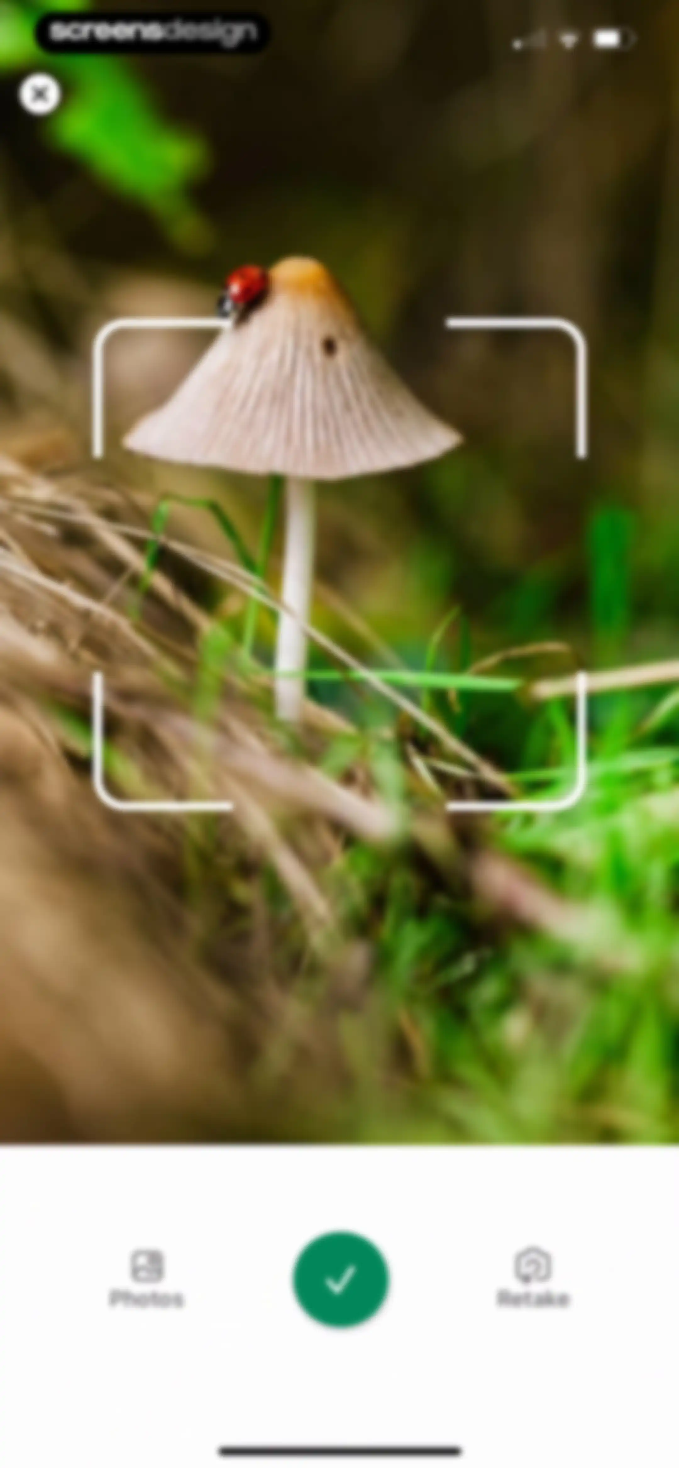 Identify My Plant Now screen 61