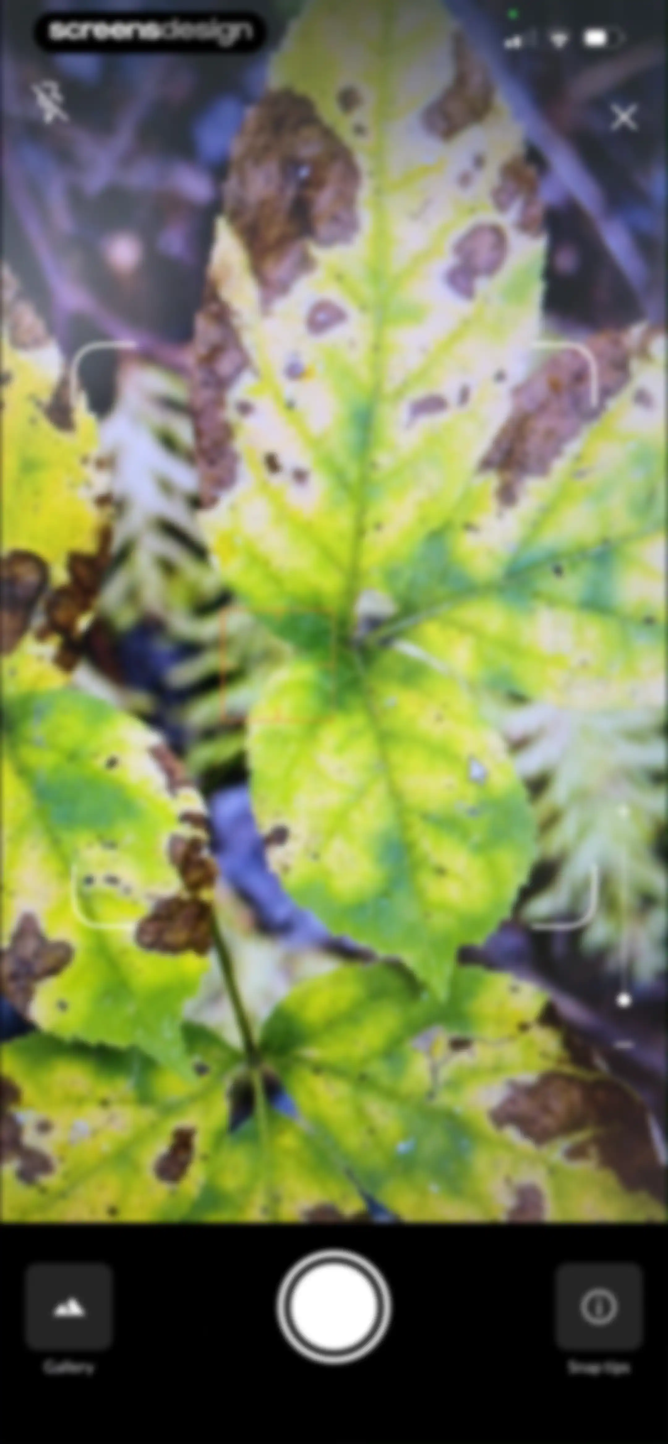 Plant Identification－Plantaria screen 33