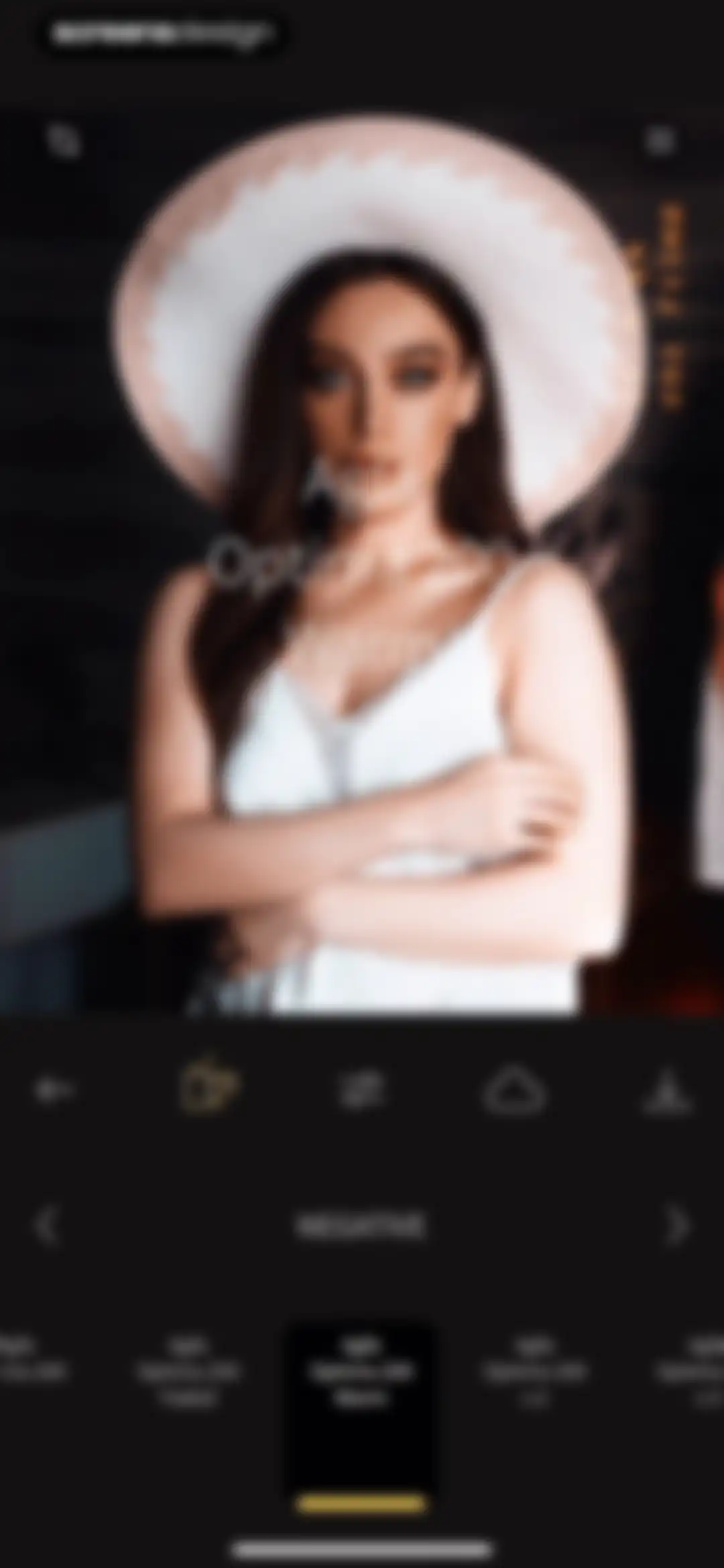 RNI Films: Photo & RAW Editor screen 12