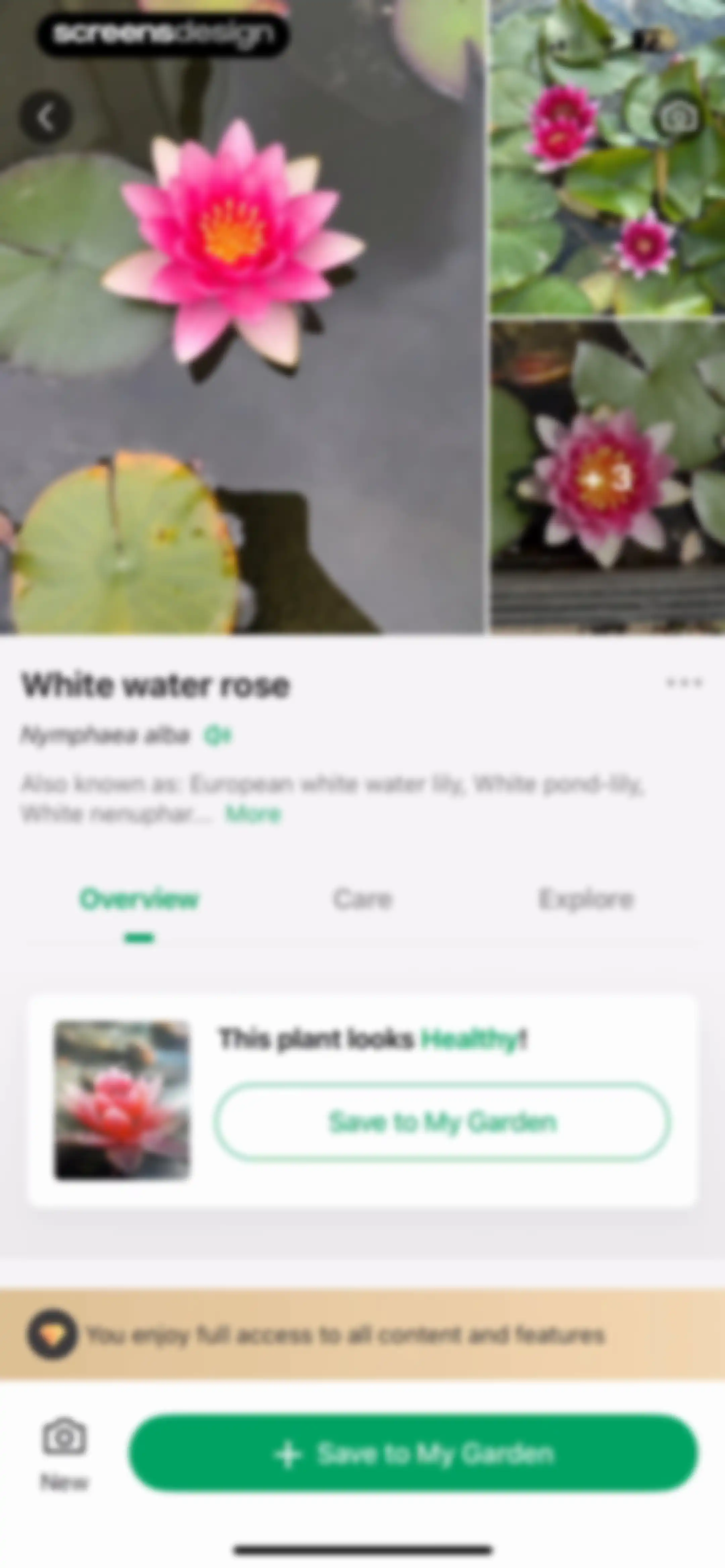 PictureThis - Plant Identifier screen 77