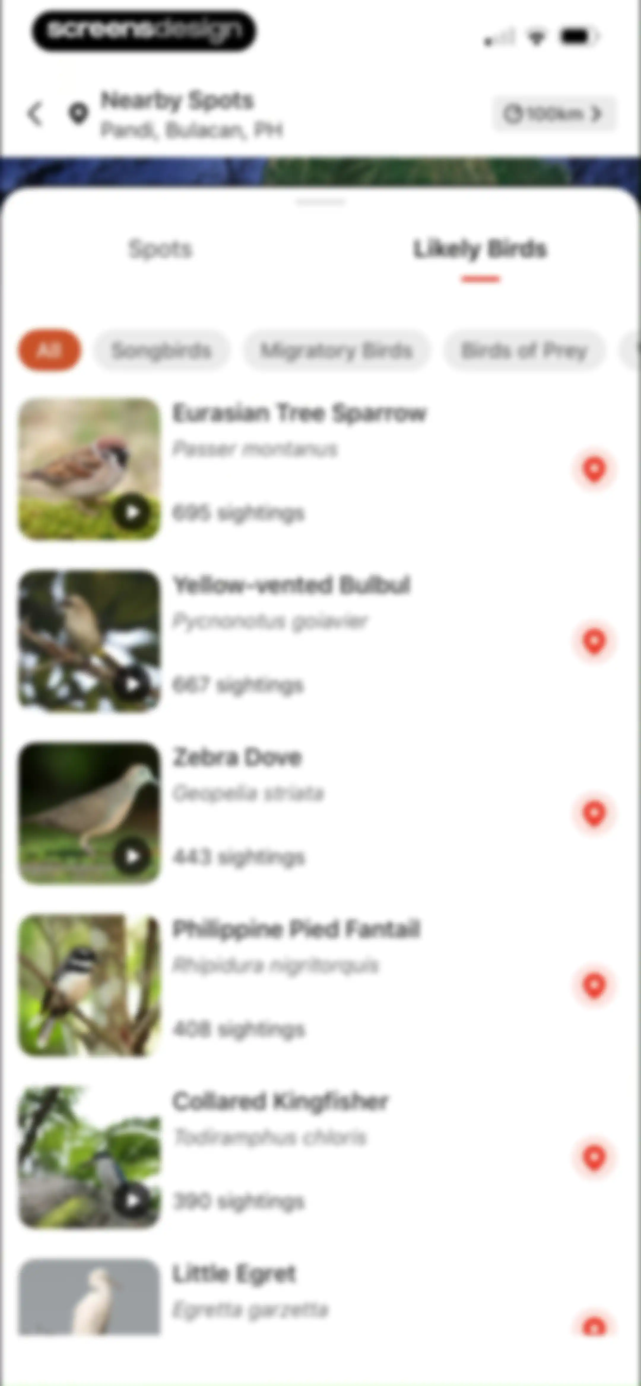 Picture Bird: Bird identifier screen 80