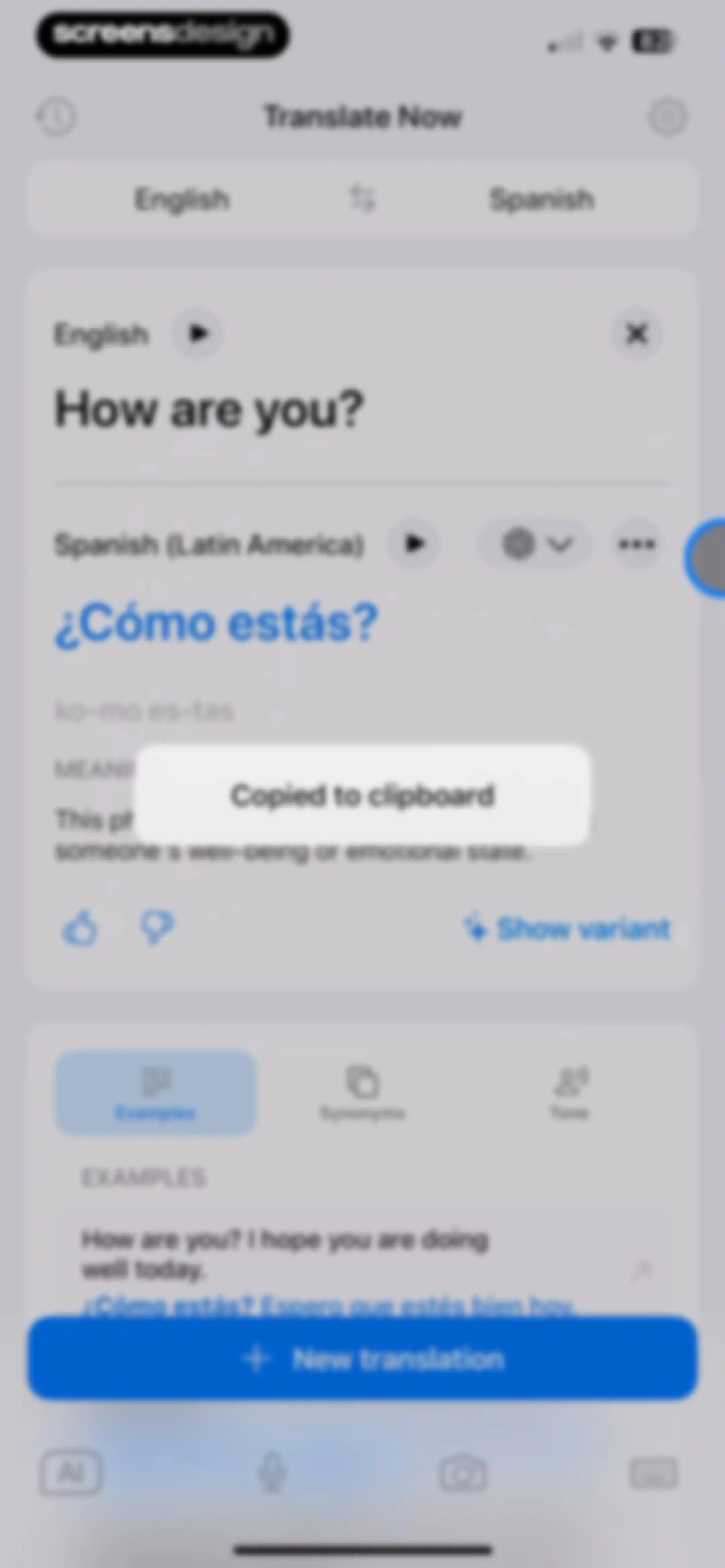 Translate Now - AI Translator screen 12