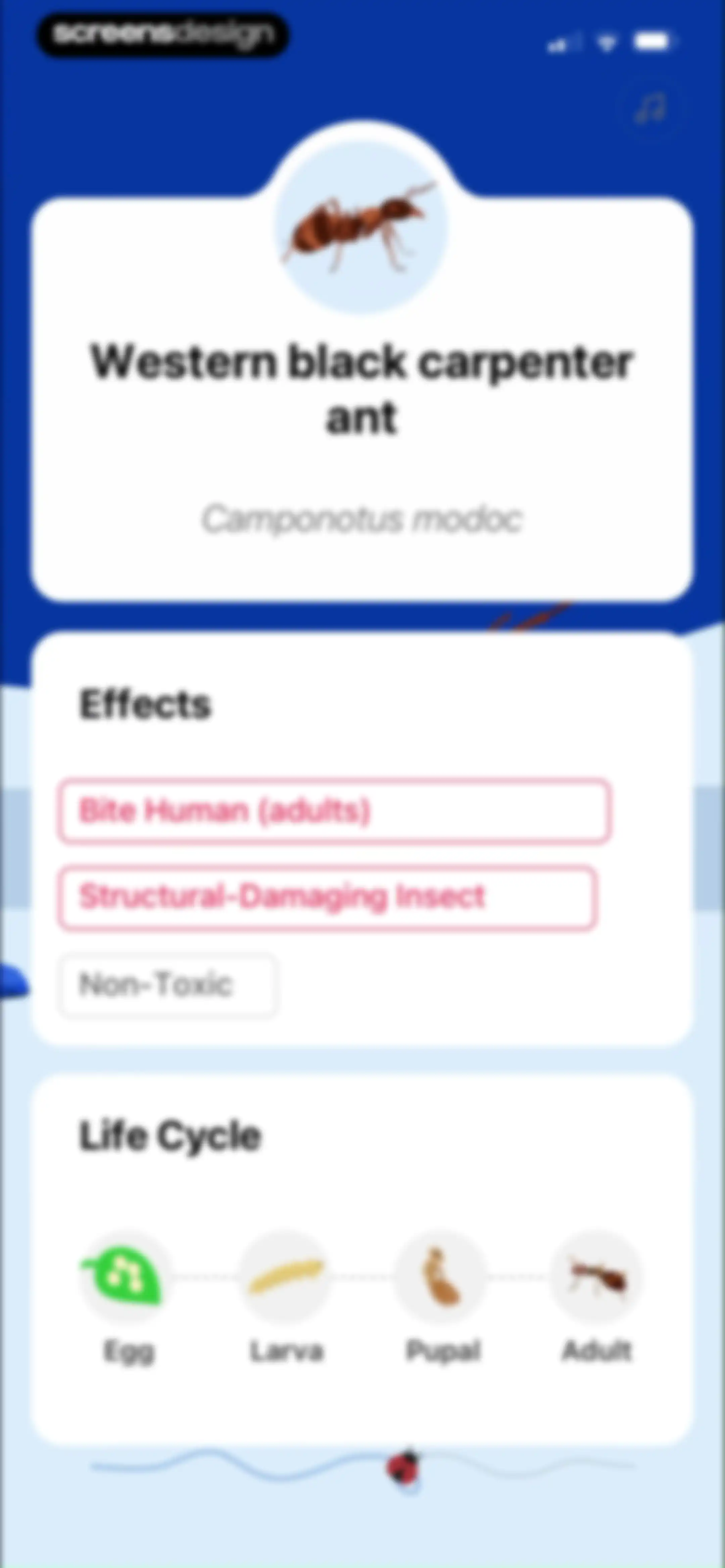 Picture Insect: Bug Identifier screen 7