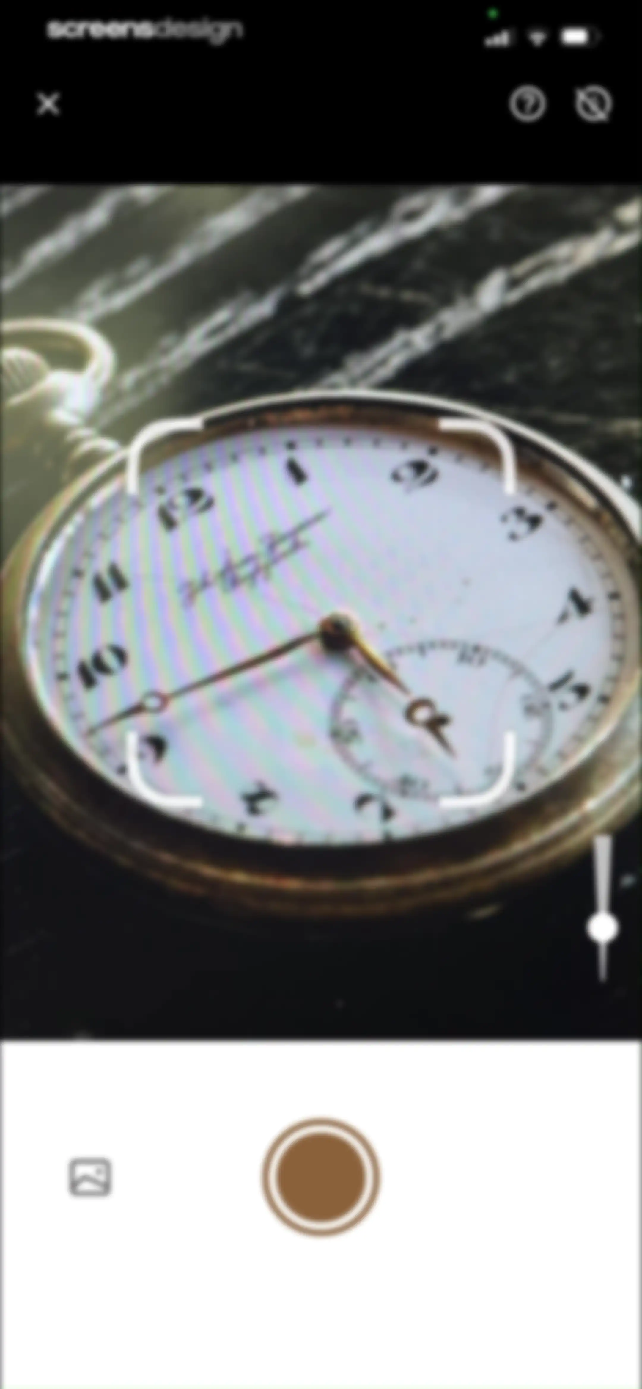 AntiqSnap: Antique Identifier screen 23