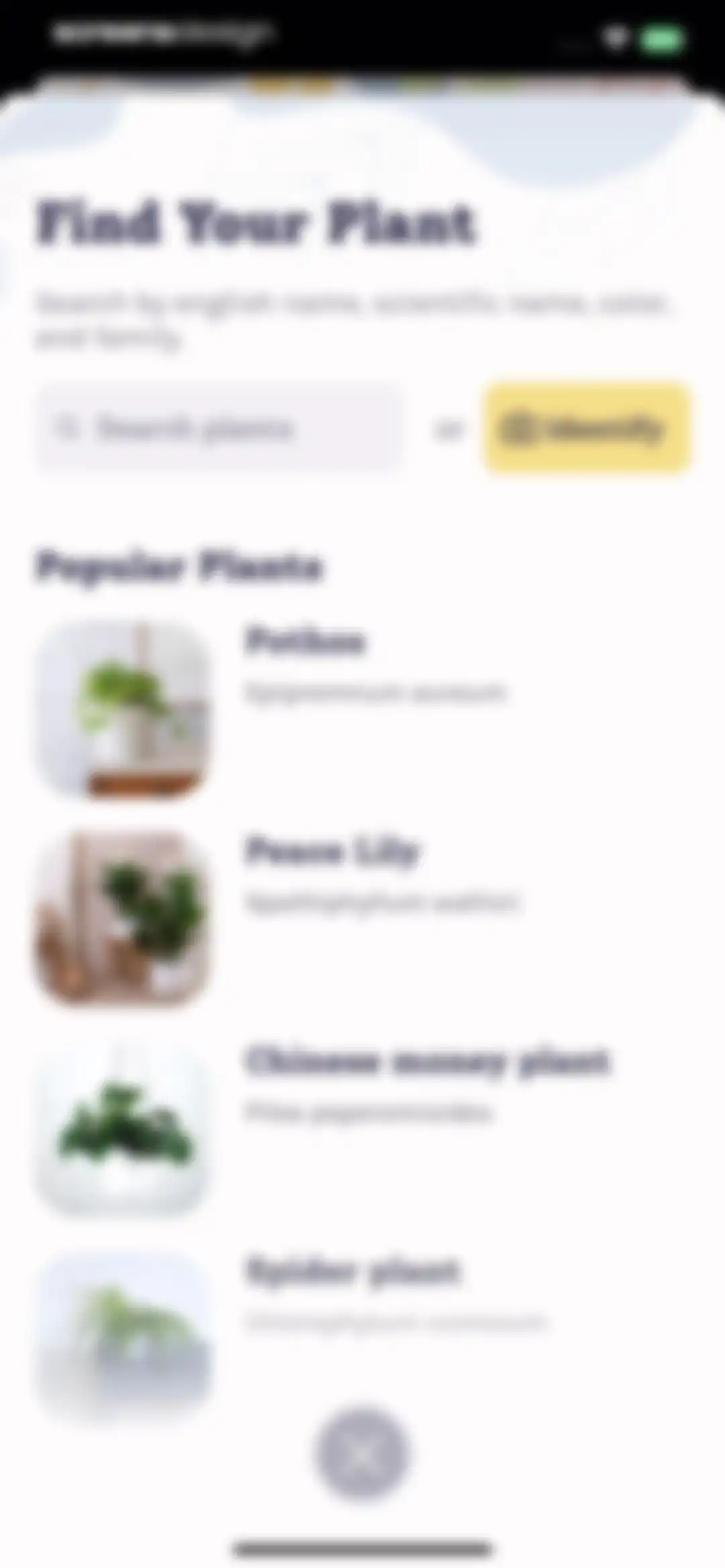 Plant Identifier, Care: Planty screen 25