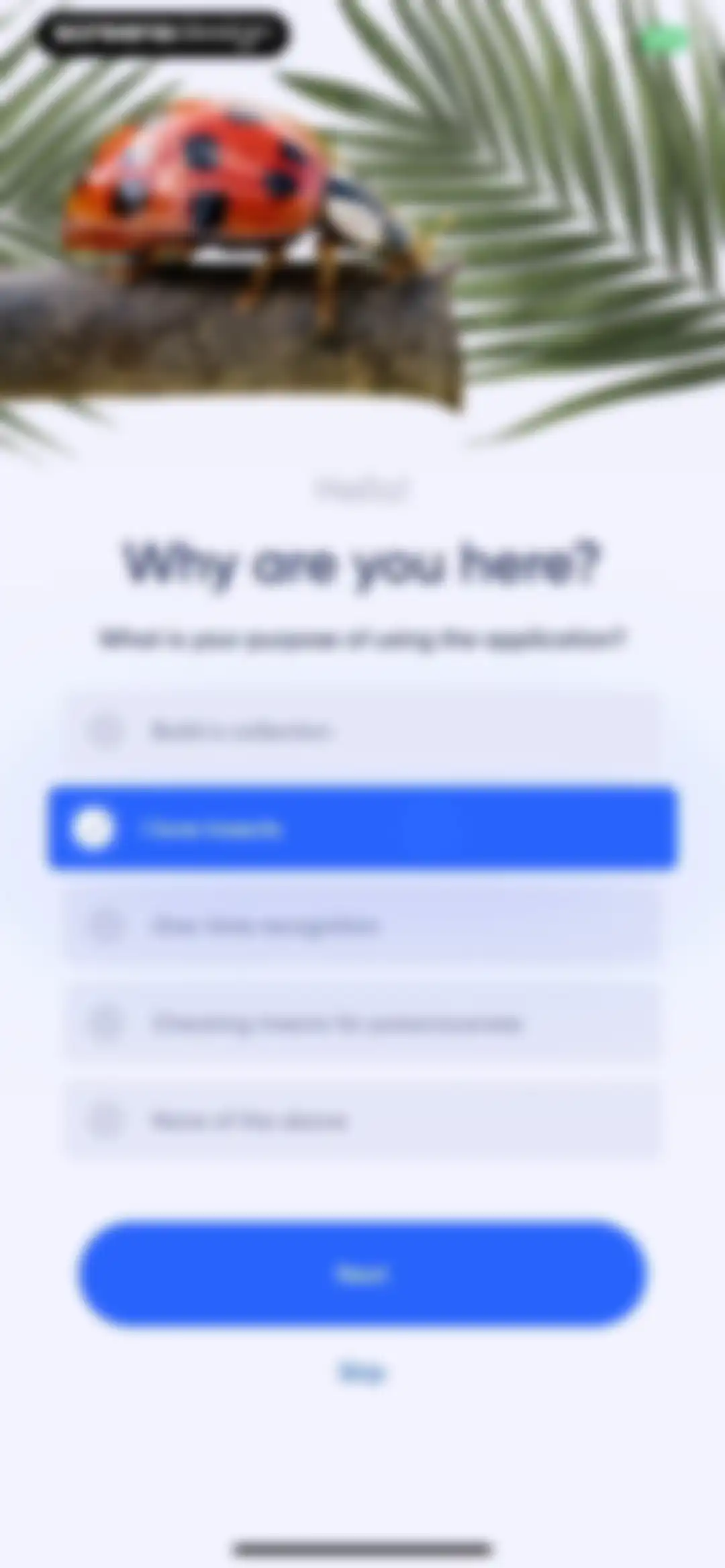 Bug Identifier: AI Insect id screen 4