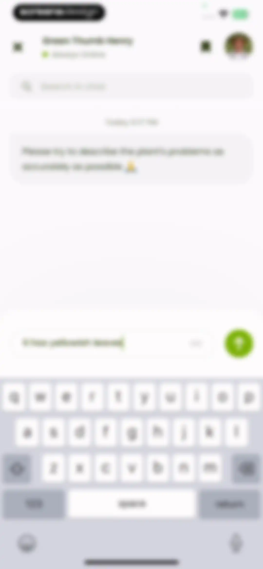 Plant Identifier & Care: Ficus screen 44