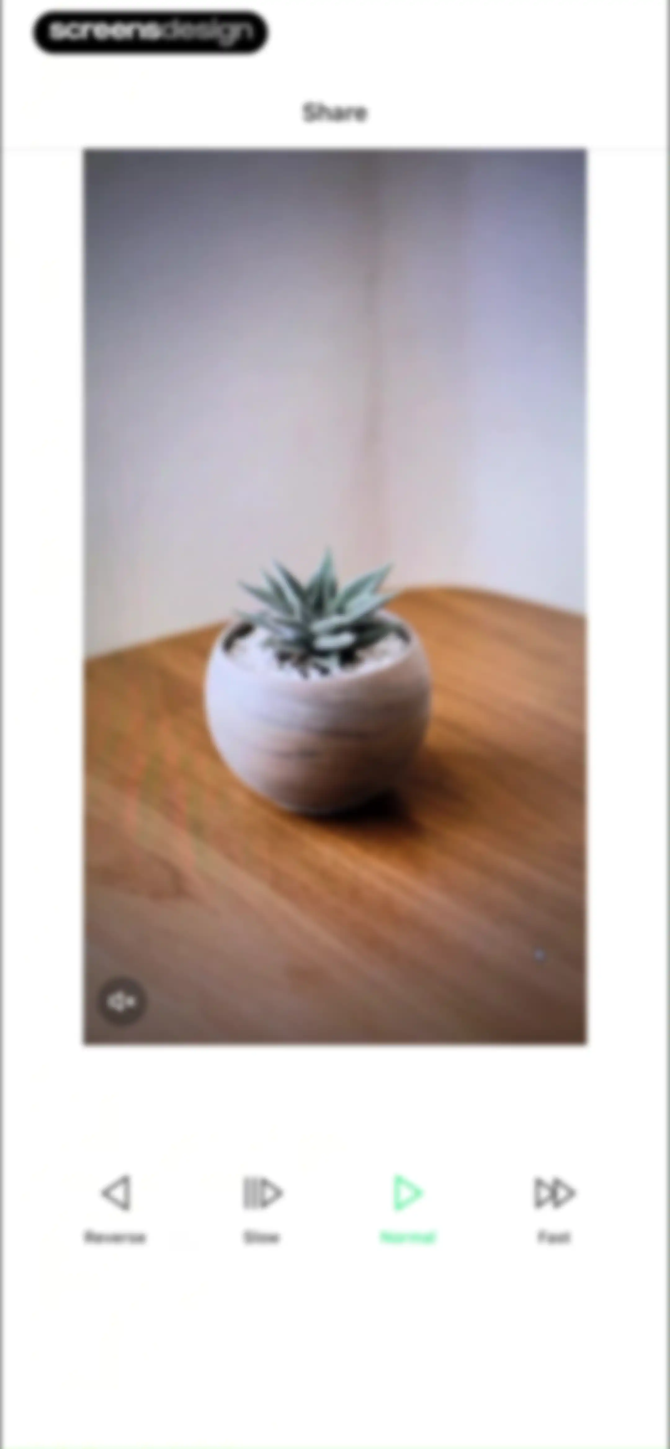 LINE Camera - Photo editor screen 100