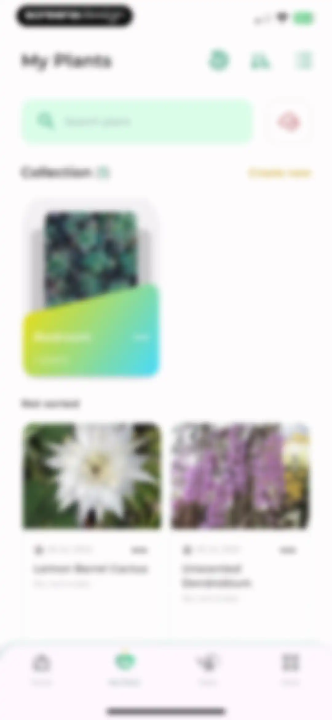 Plant Identifier: LeafSnap screen 49