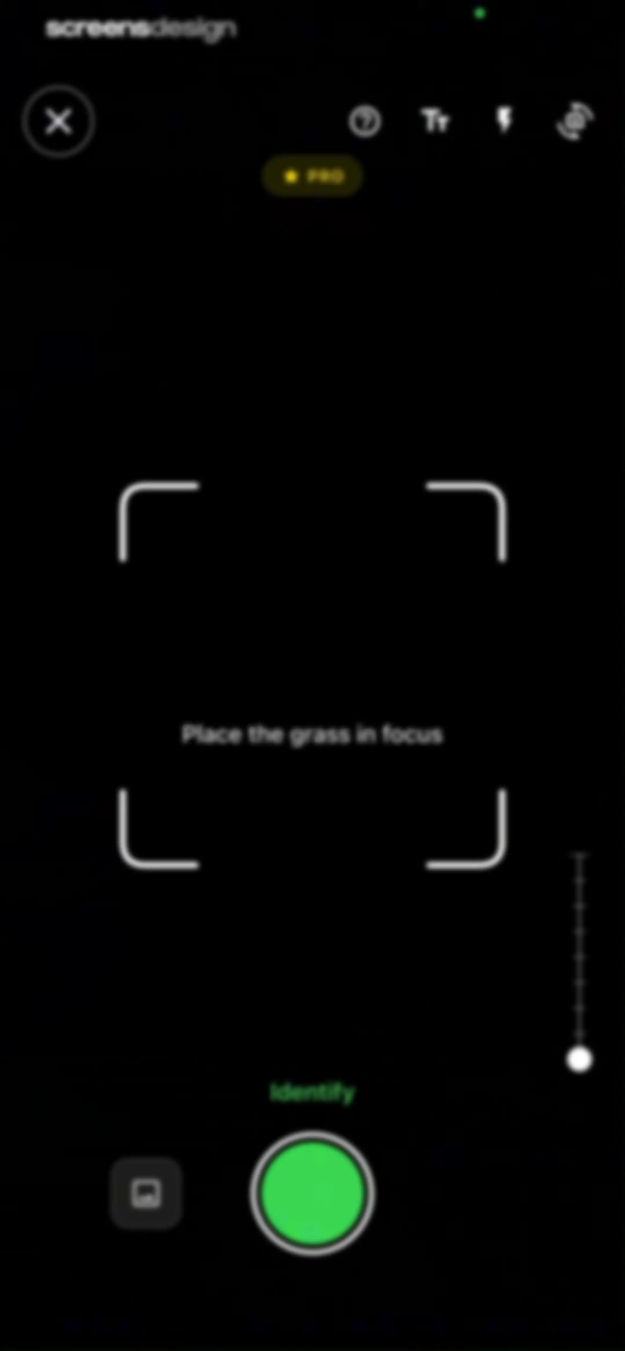 Grass Identifier: AI Scan screen 42