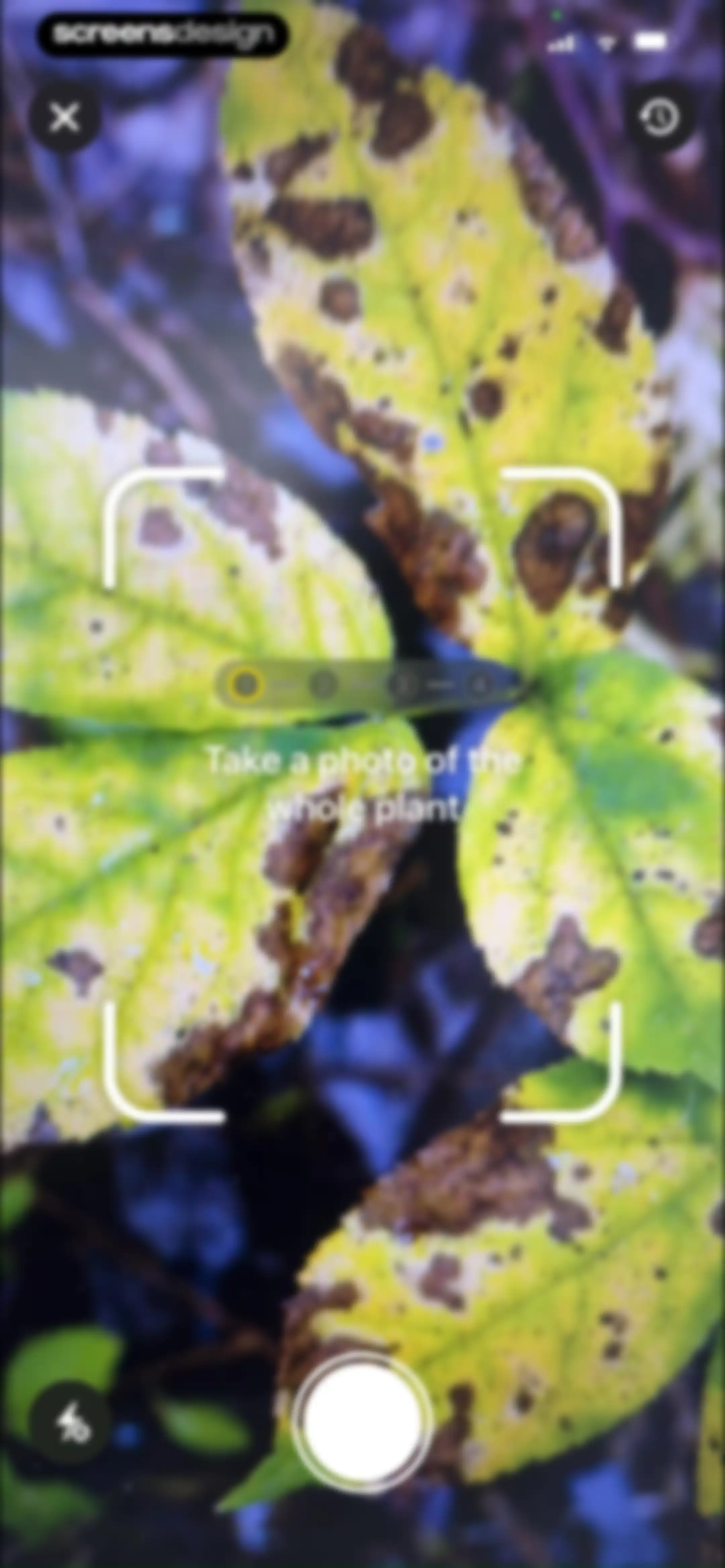 Free Plant Identifier screen 31