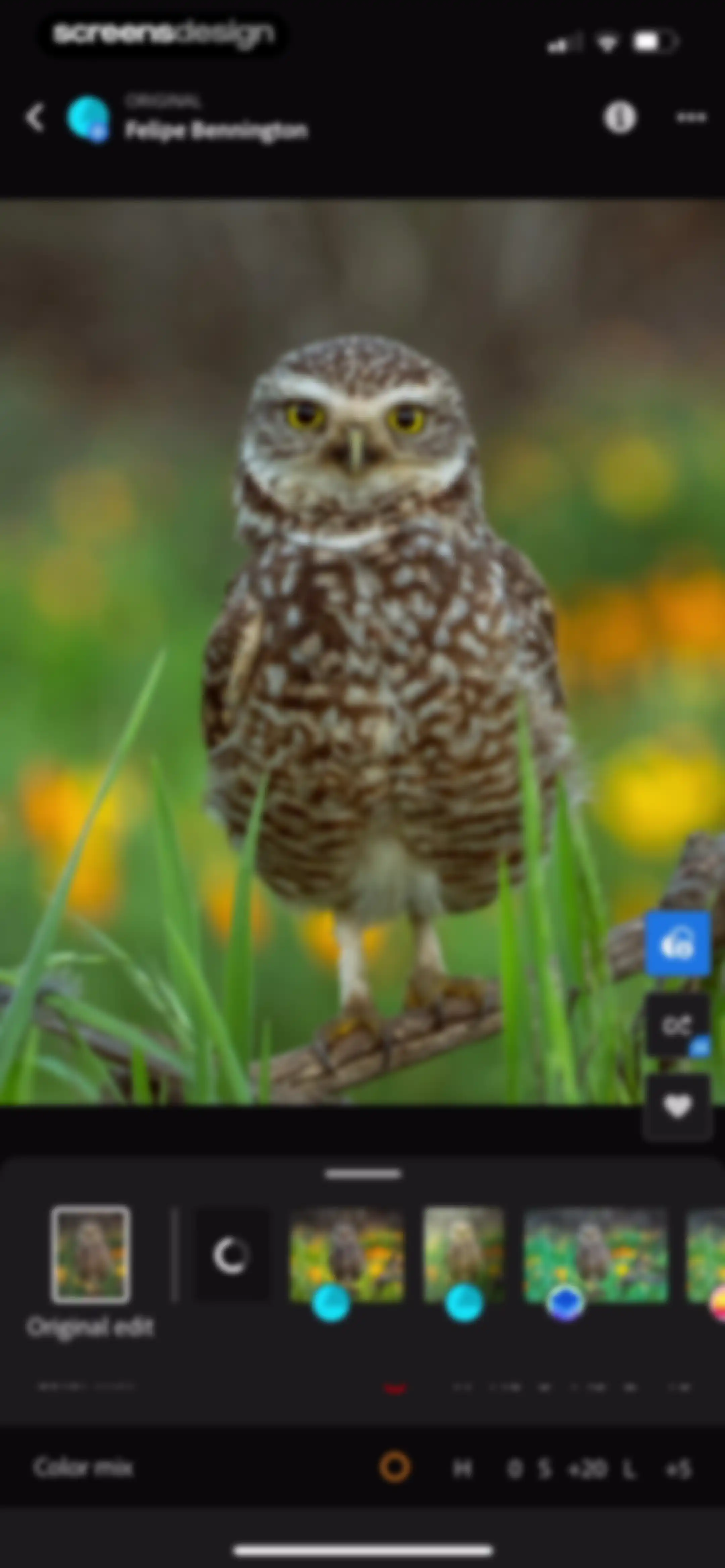 Lightroom: AI Photo Editor screen 171