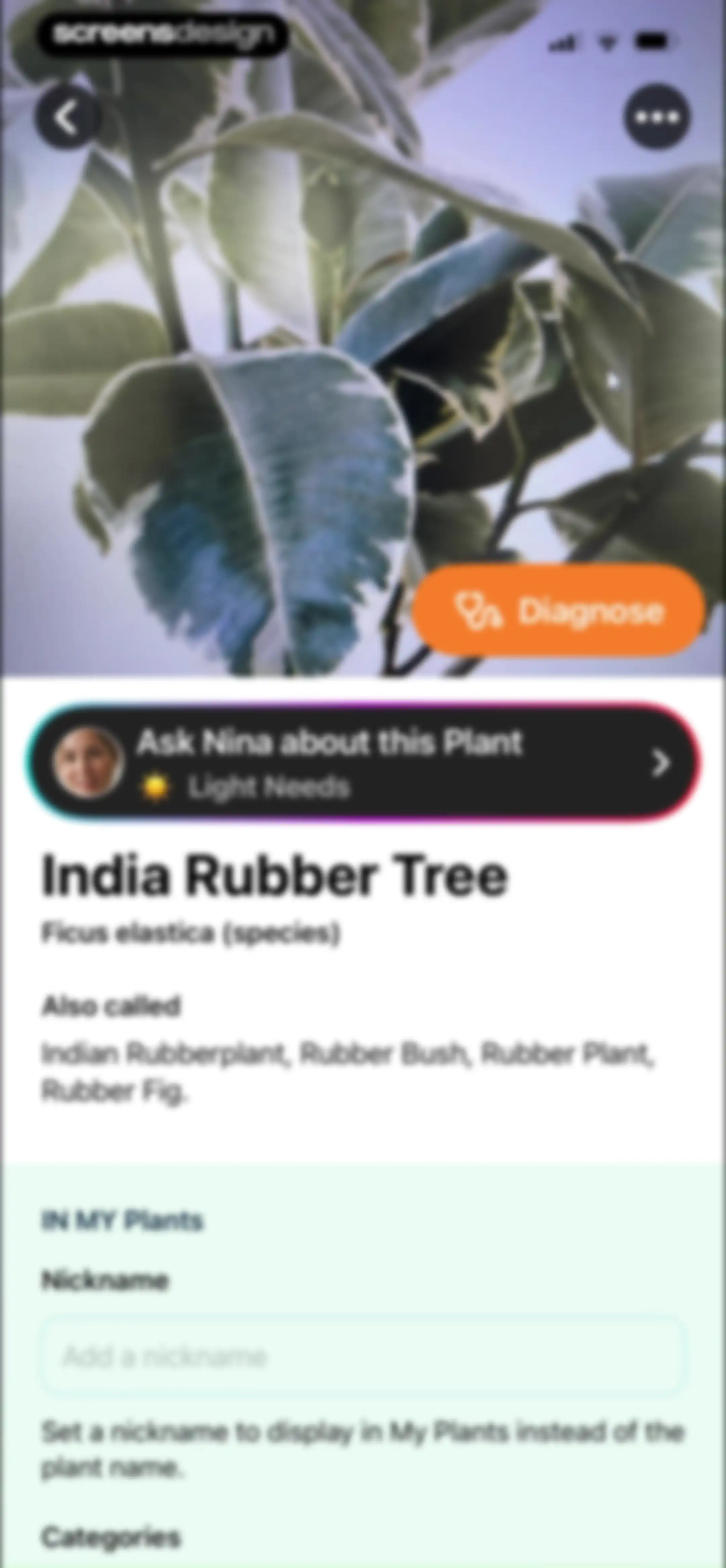 Free Plant Identifier screen 38