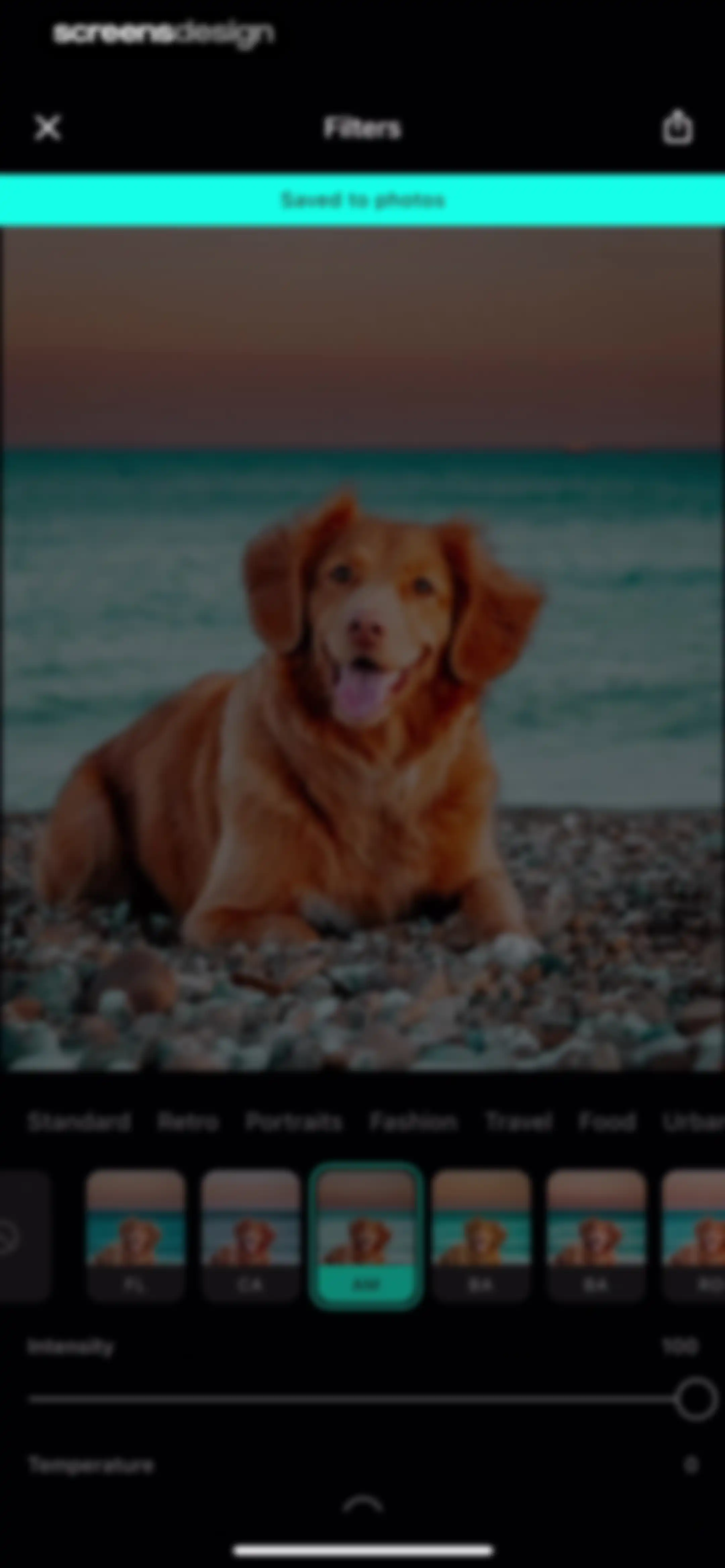 Presets for Lightroom - FLTR screen 71