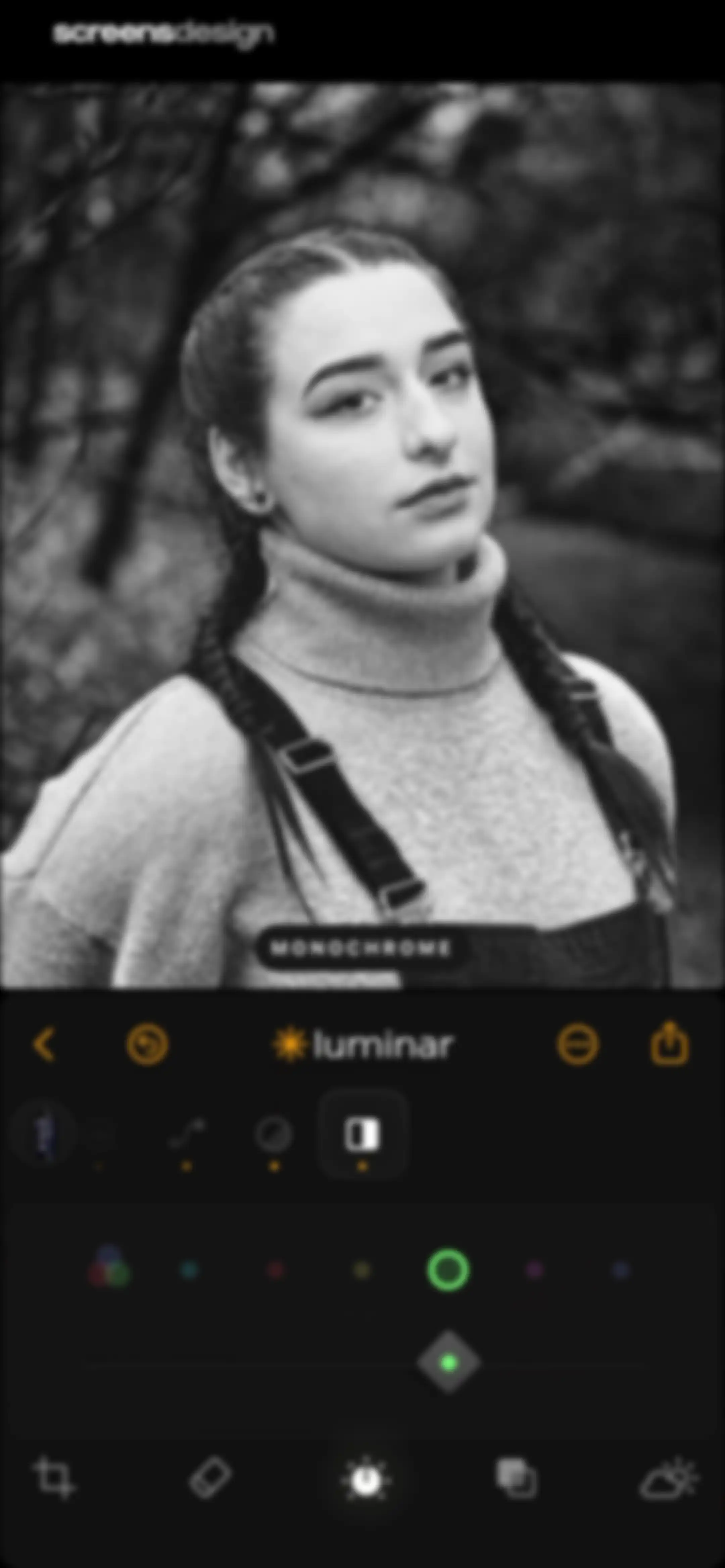 Luminar: Image Editor&Enhancer screen 36
