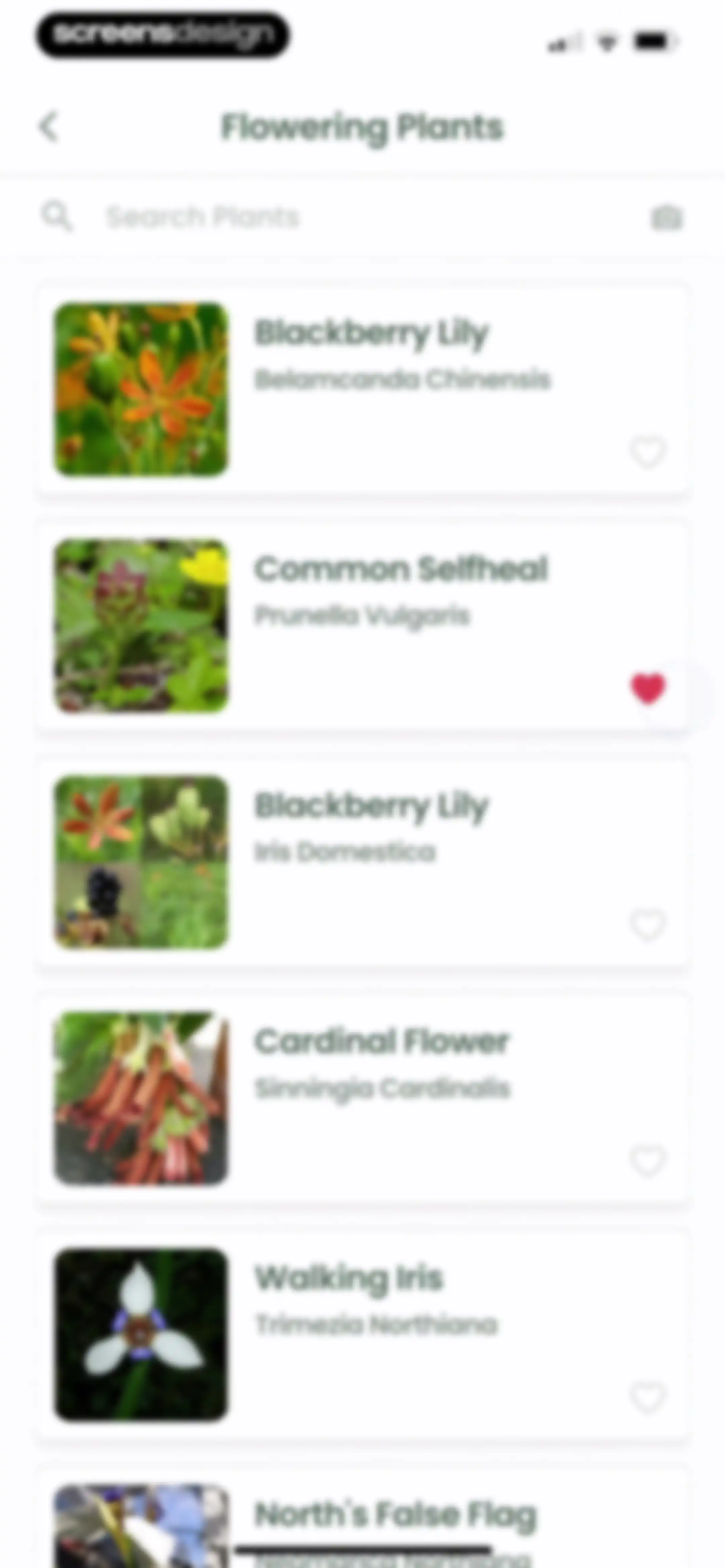 Plant Identifier: Plantiary screen 21