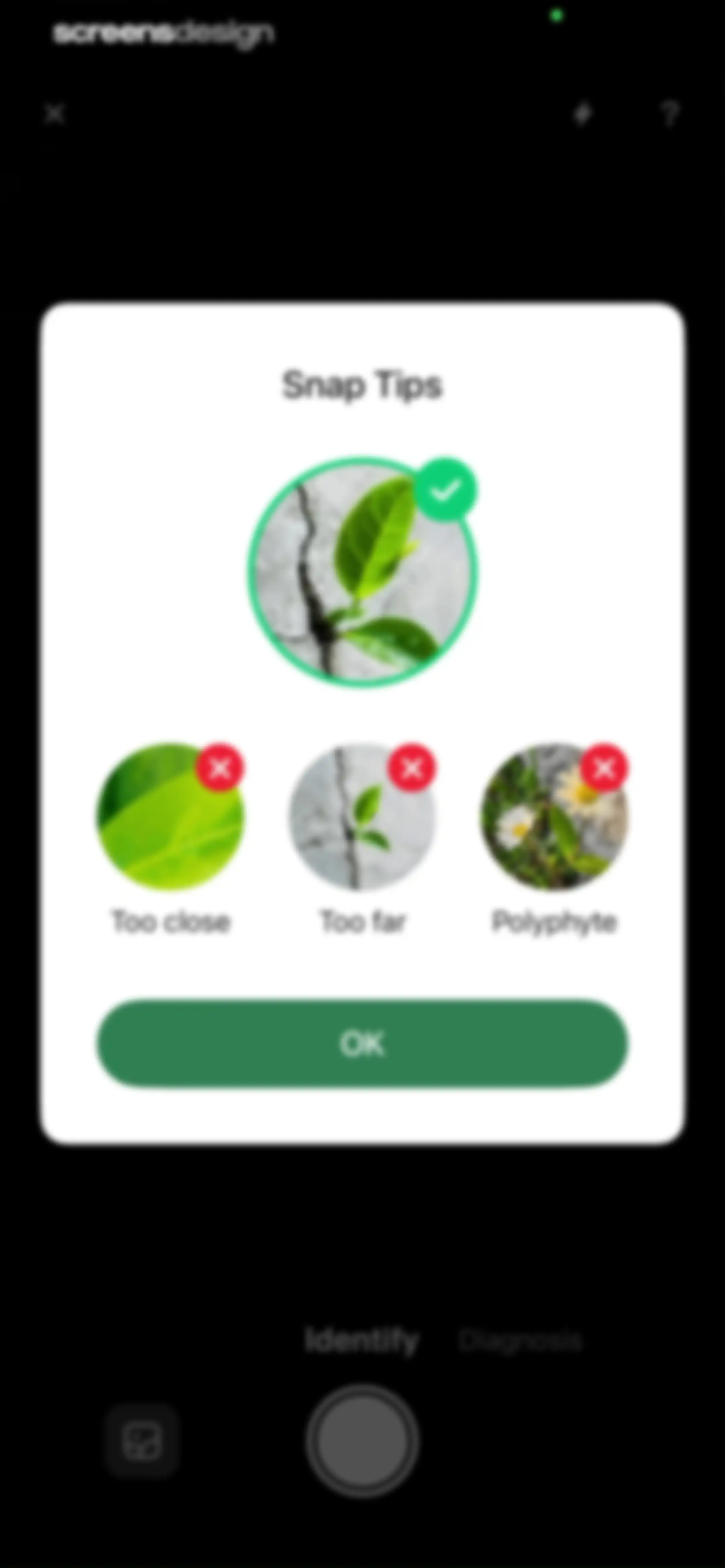 PlantLush: Plant ID & Care Pro screen 38