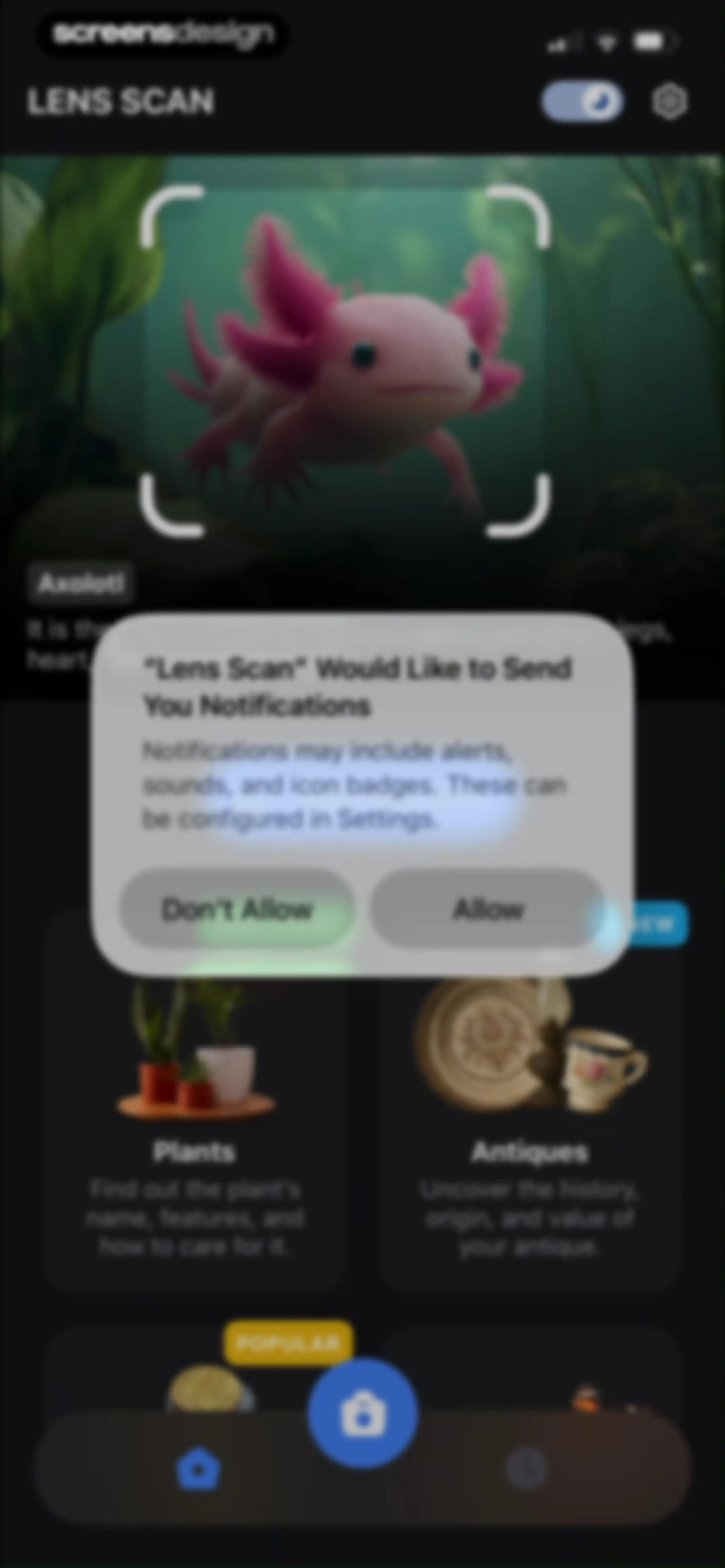 Lens Scan: Identify Anything screen 14