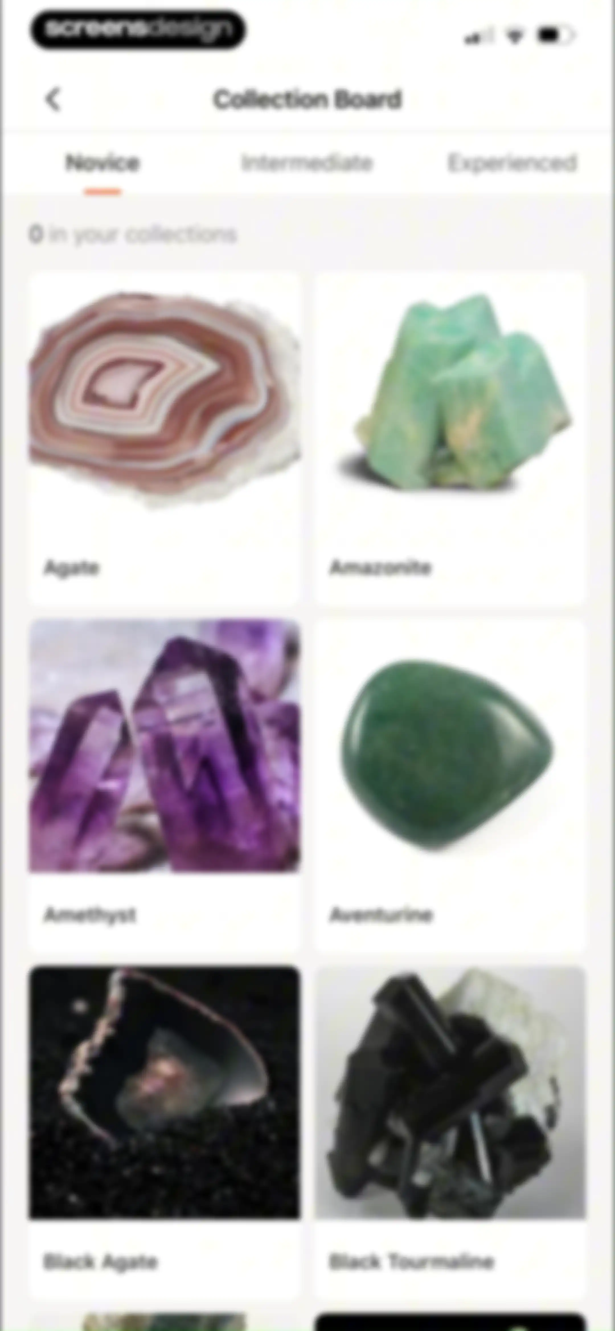 Rock Identifier: Stone ID screen 100