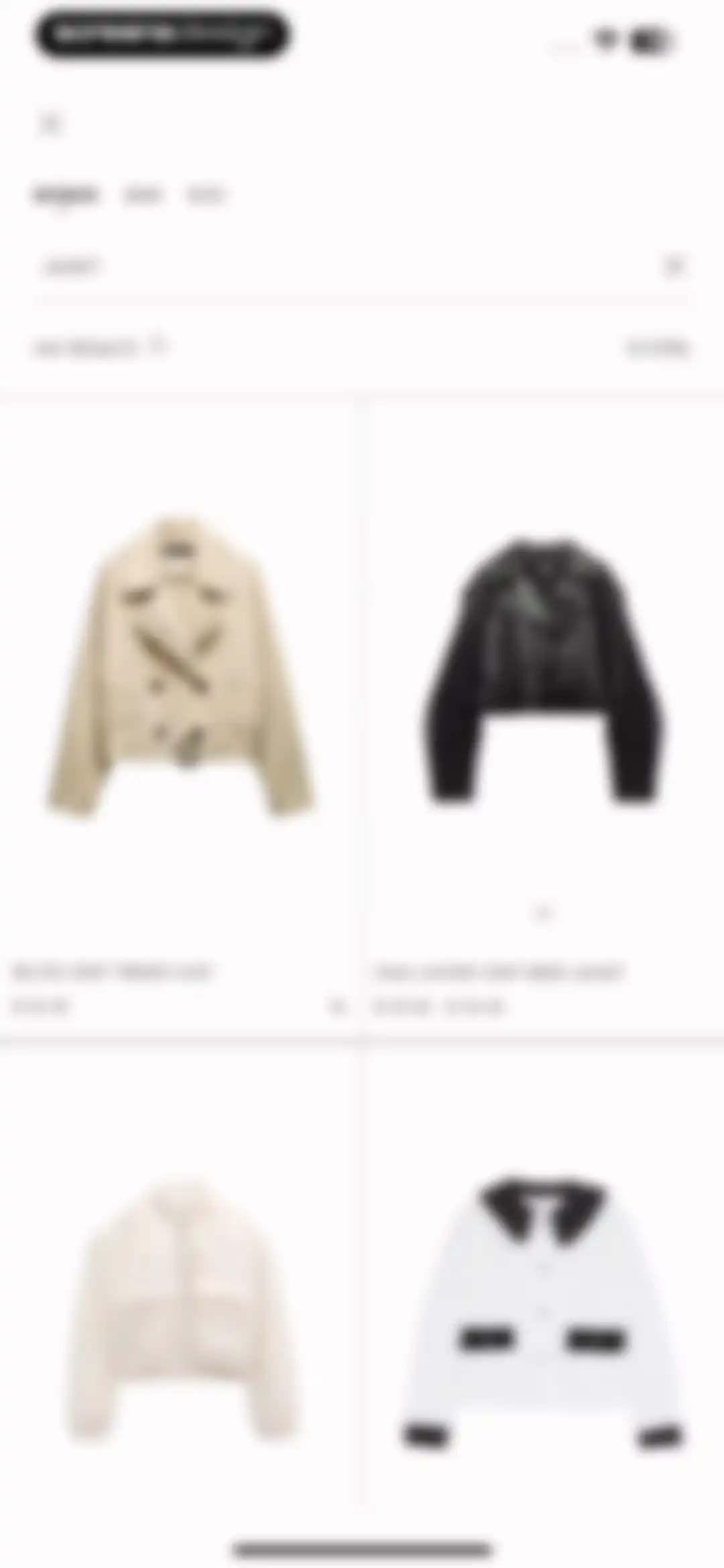 ZARA screen 73