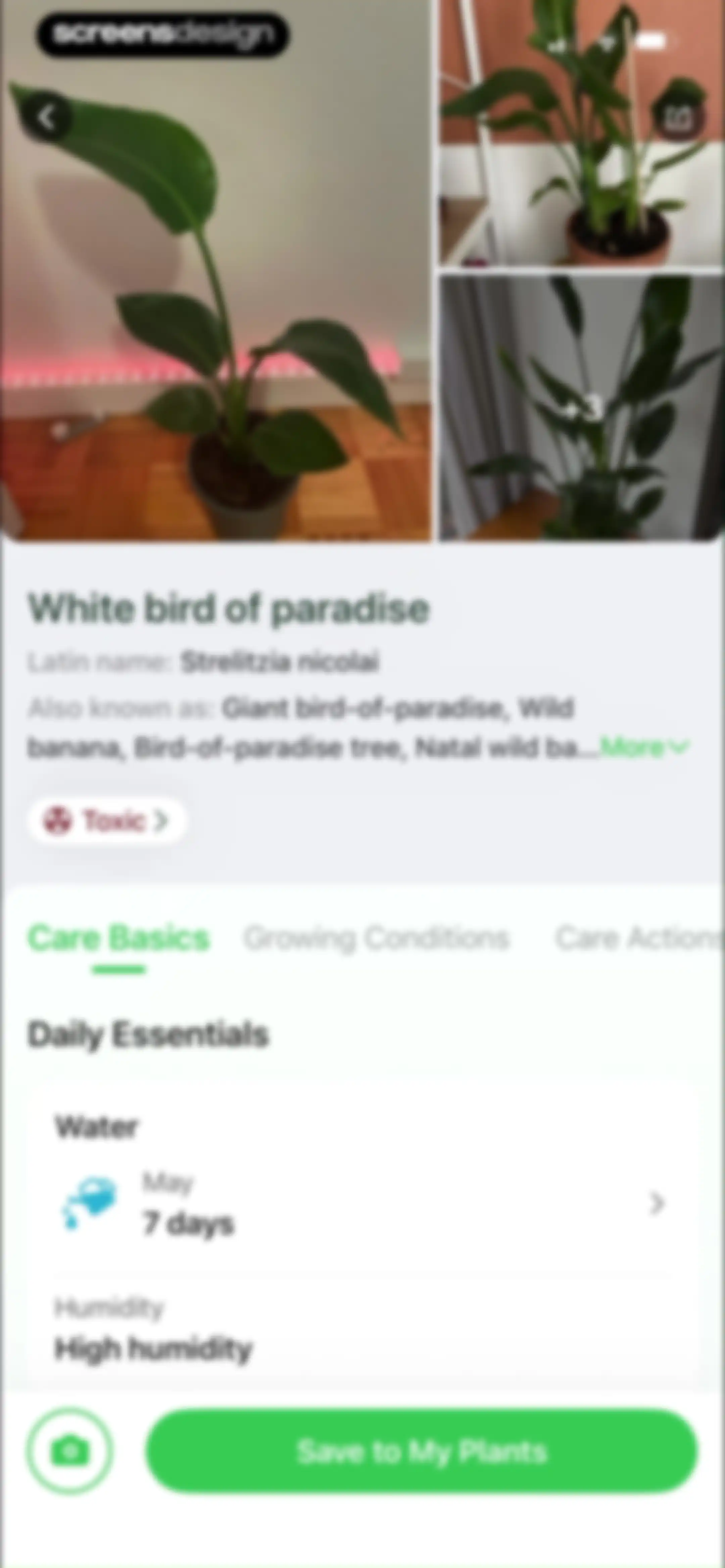 Plant Identifier & Plant Care. screen 31