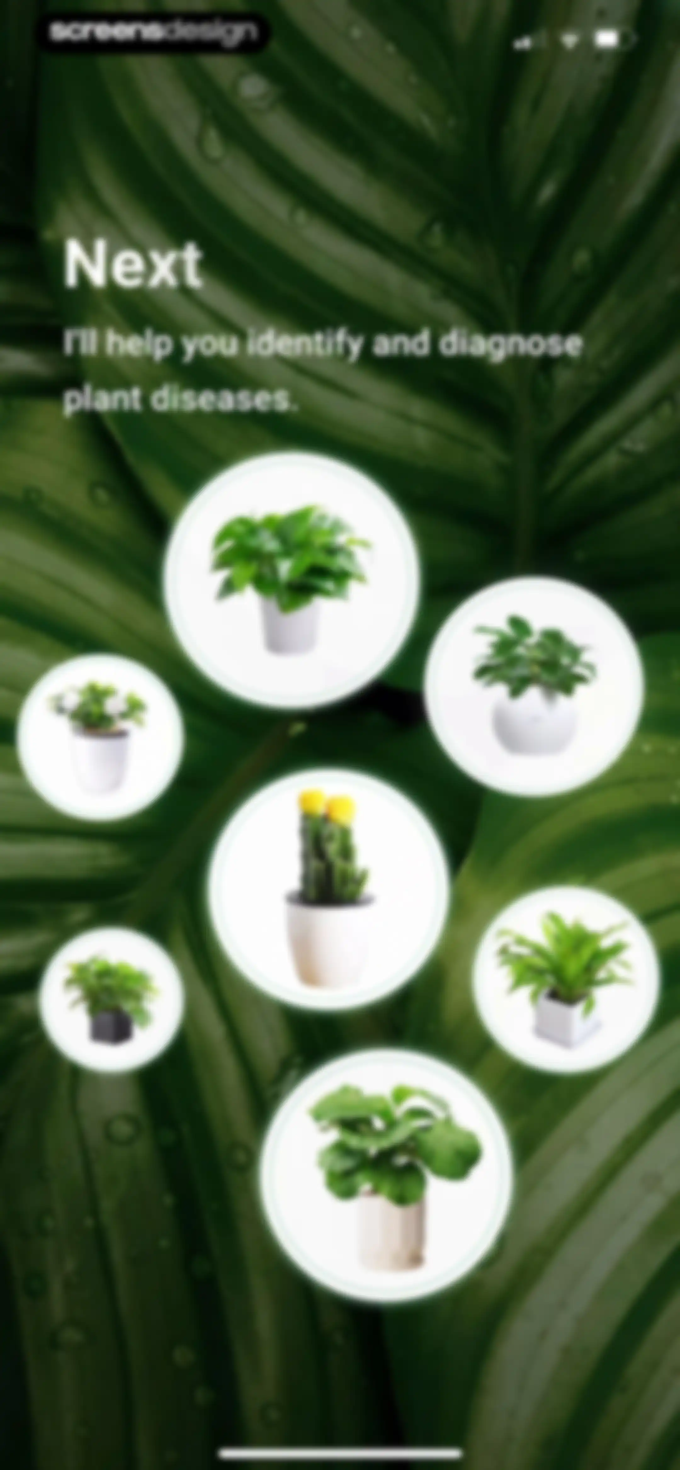 PlantDaily: AI Plant Care screen 5