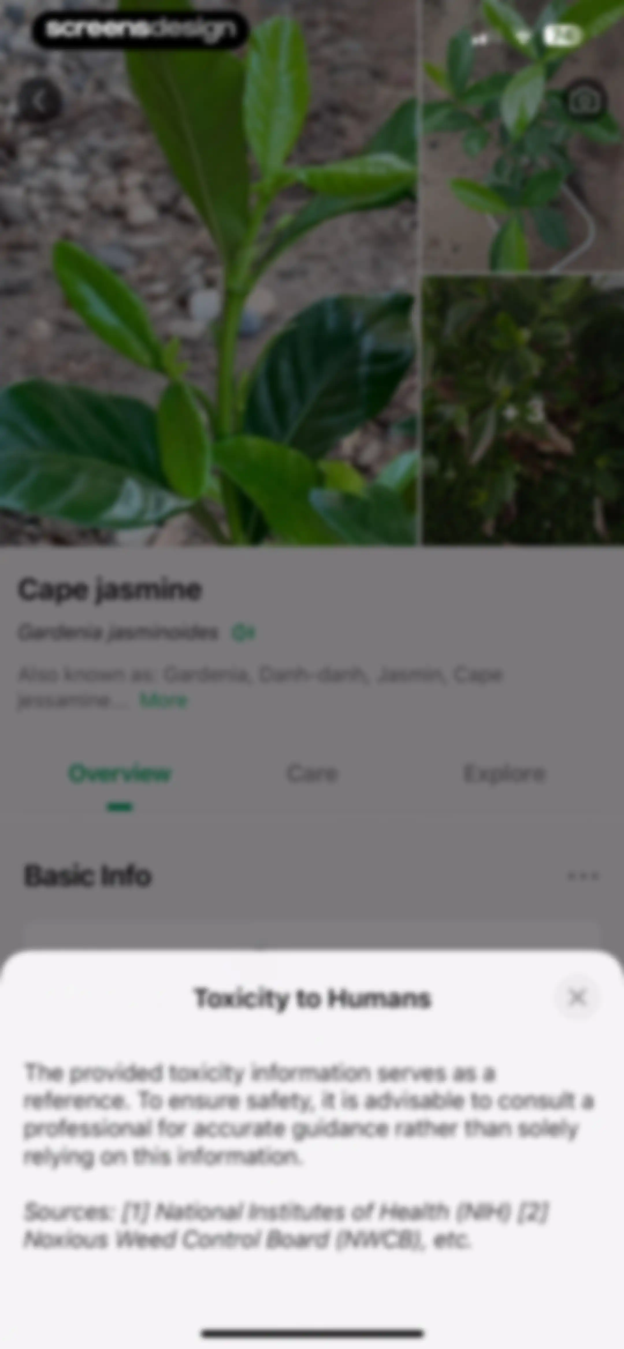PictureThis - Plant Identifier screen 32
