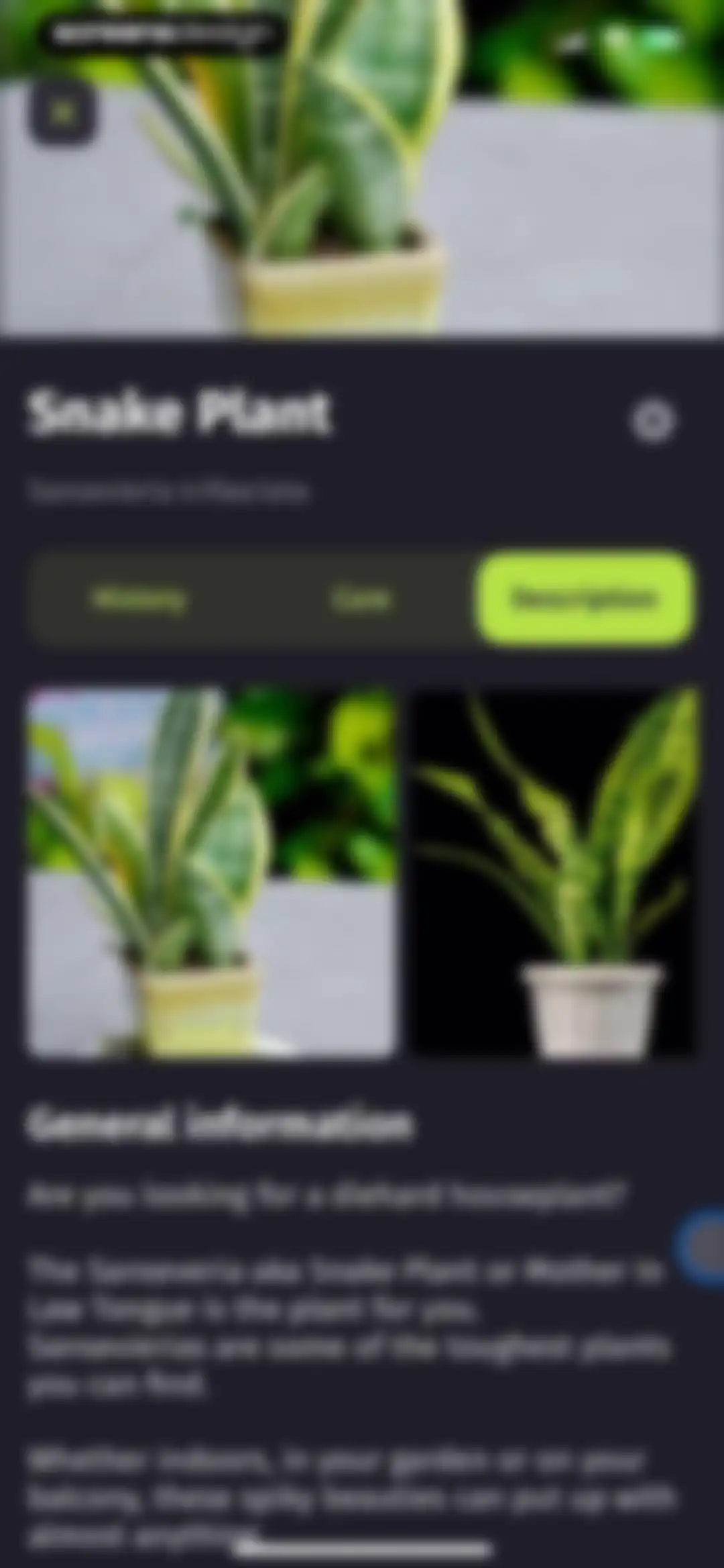 Plantion - Plant Identifier screen 16