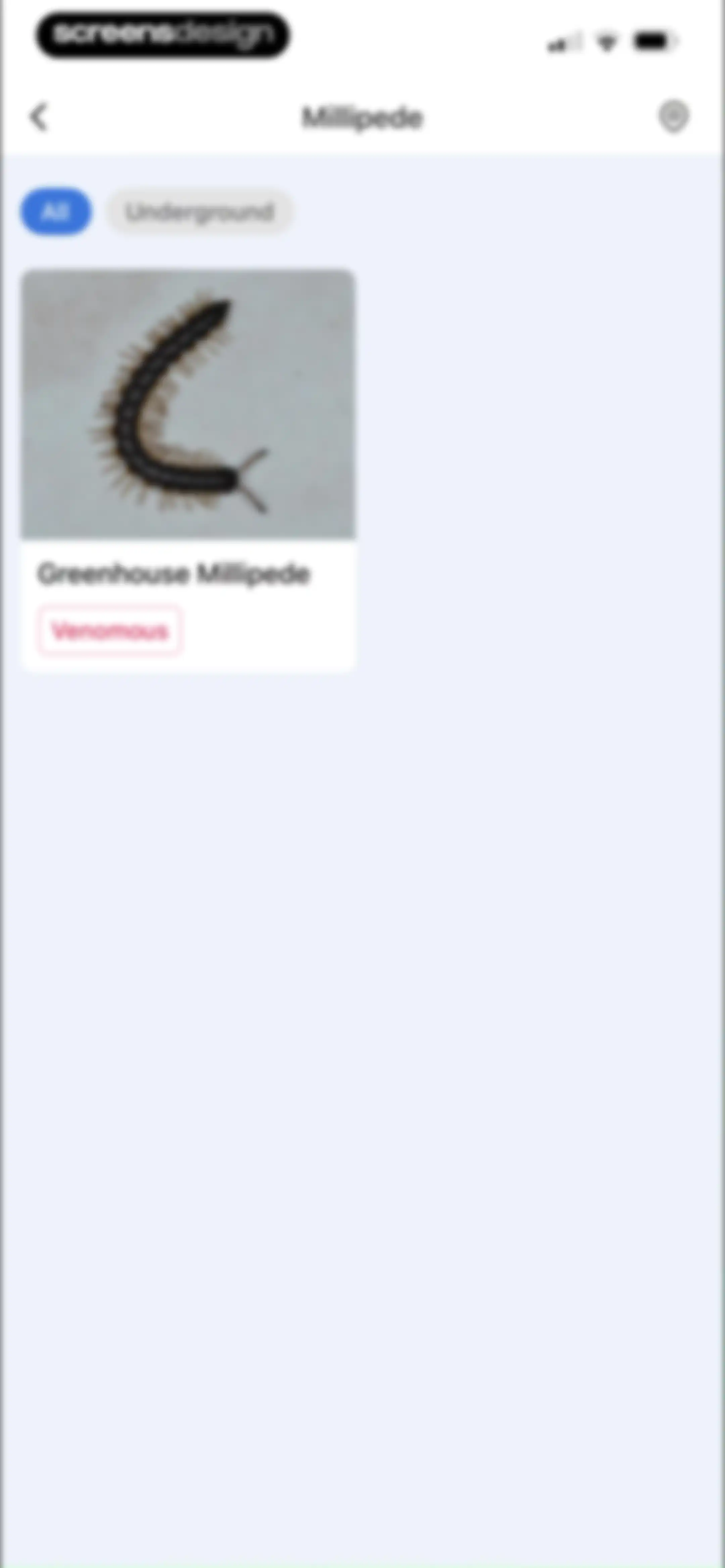 Picture Insect: Bug Identifier screen 77