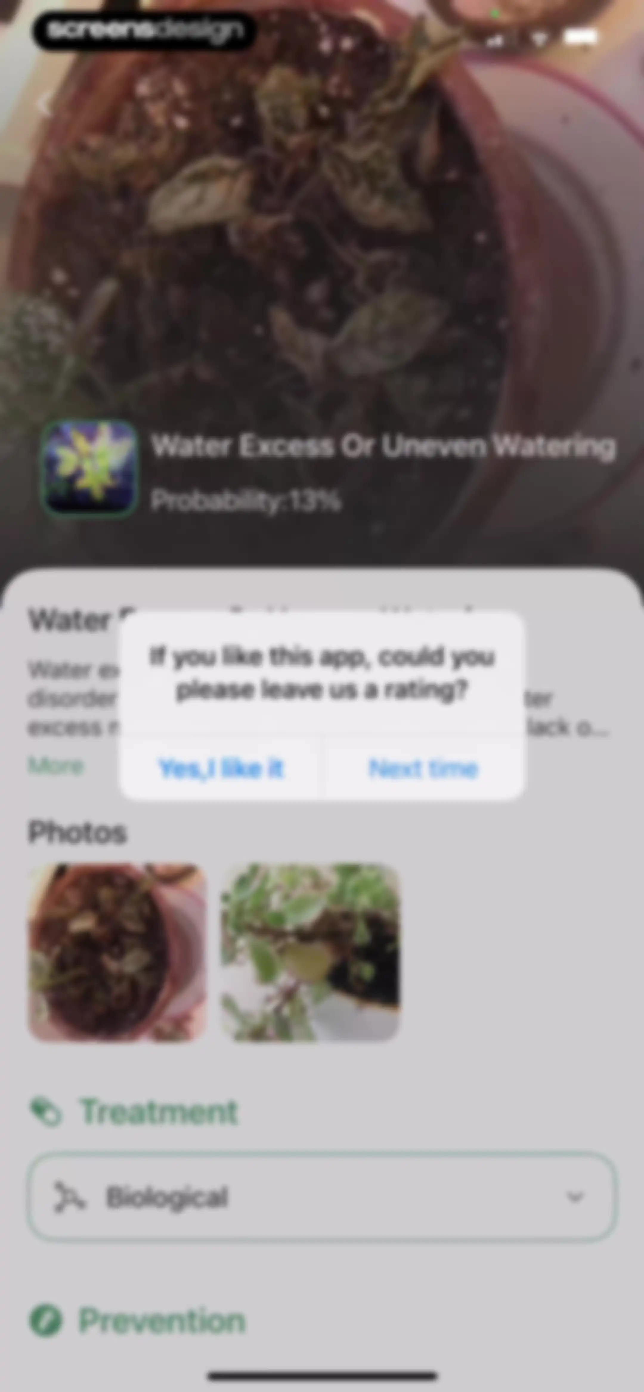 Verde Finder : identify plants screen 27